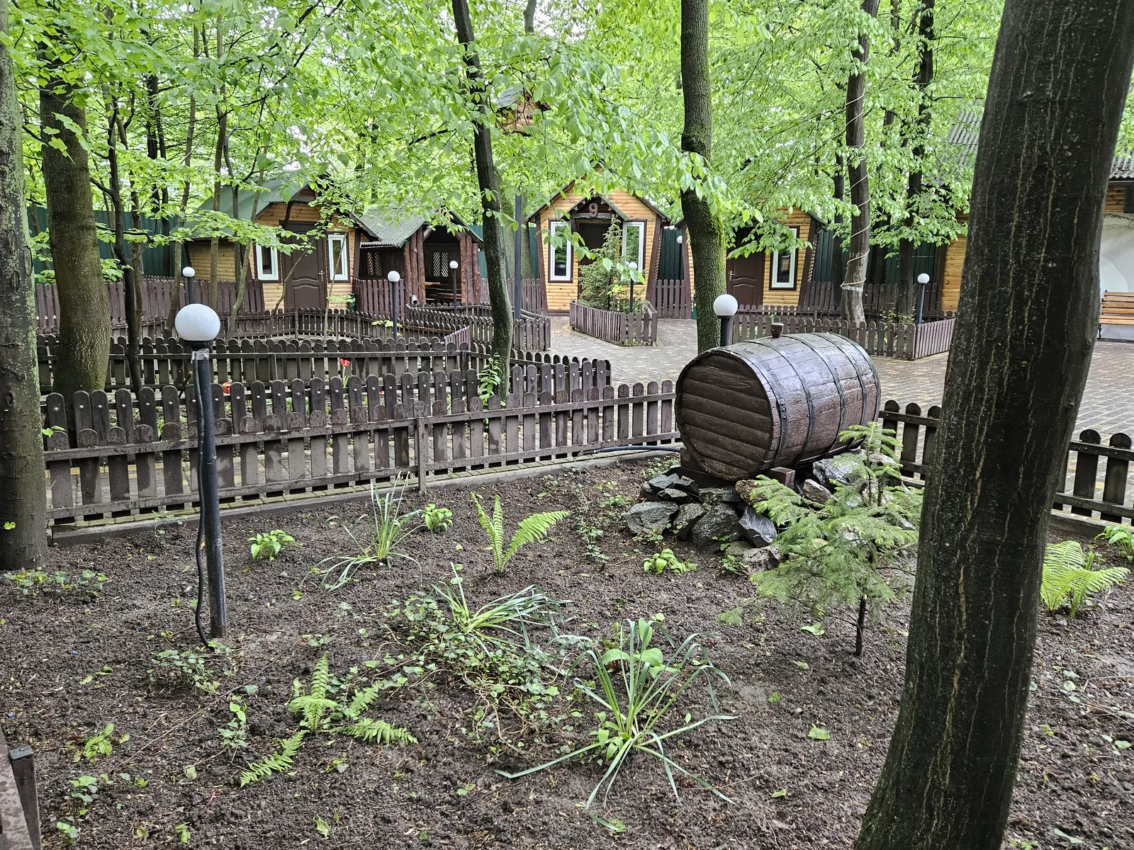 Mandrivnyk image 20