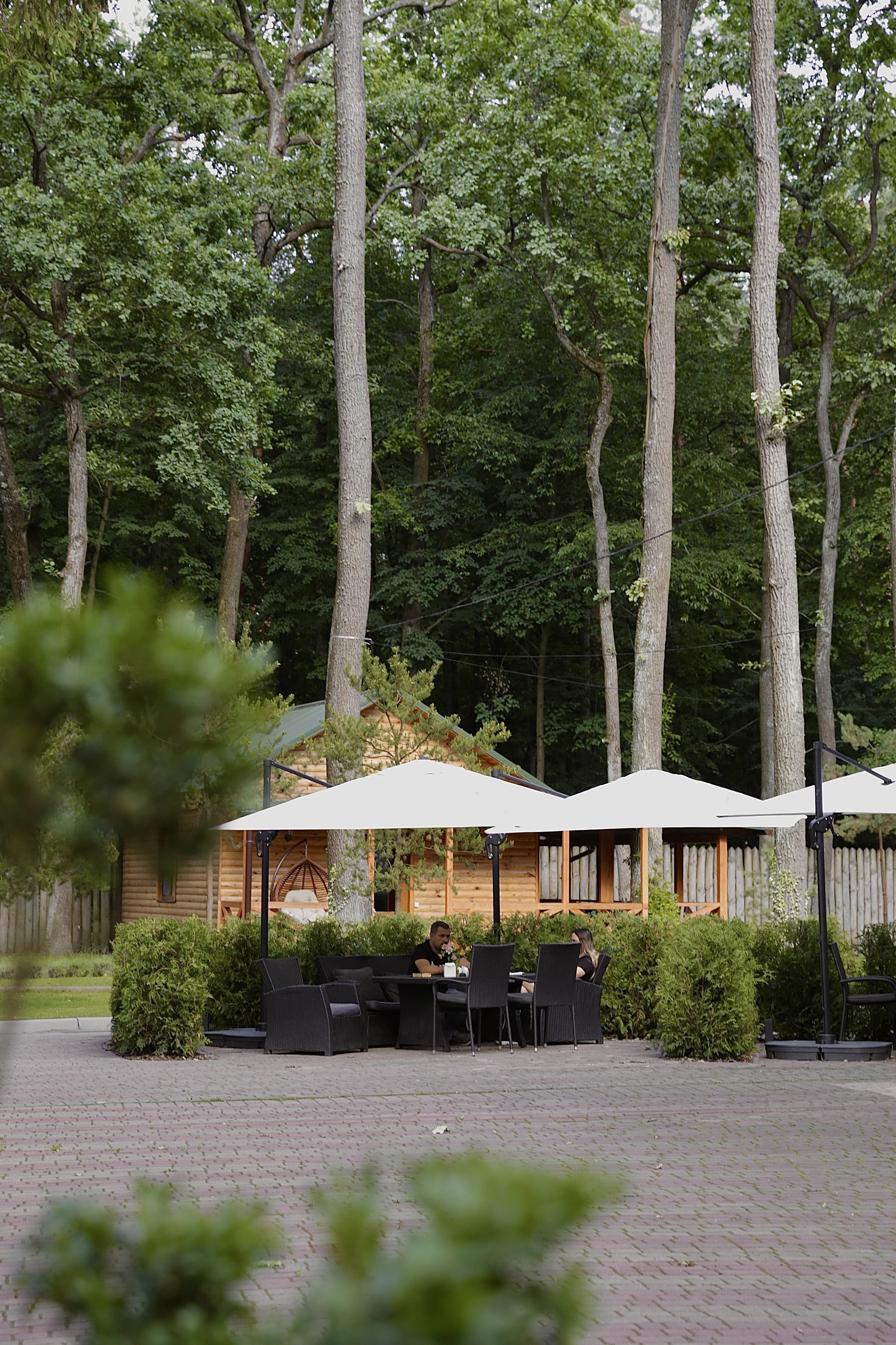 Dubovyy Hay image 13