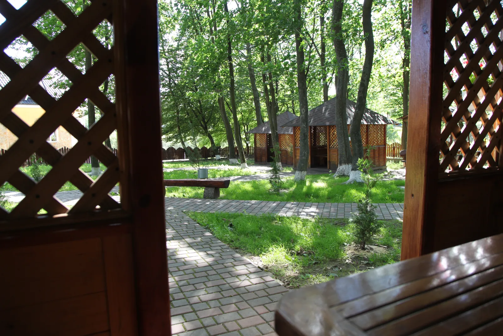 Sonet image 11