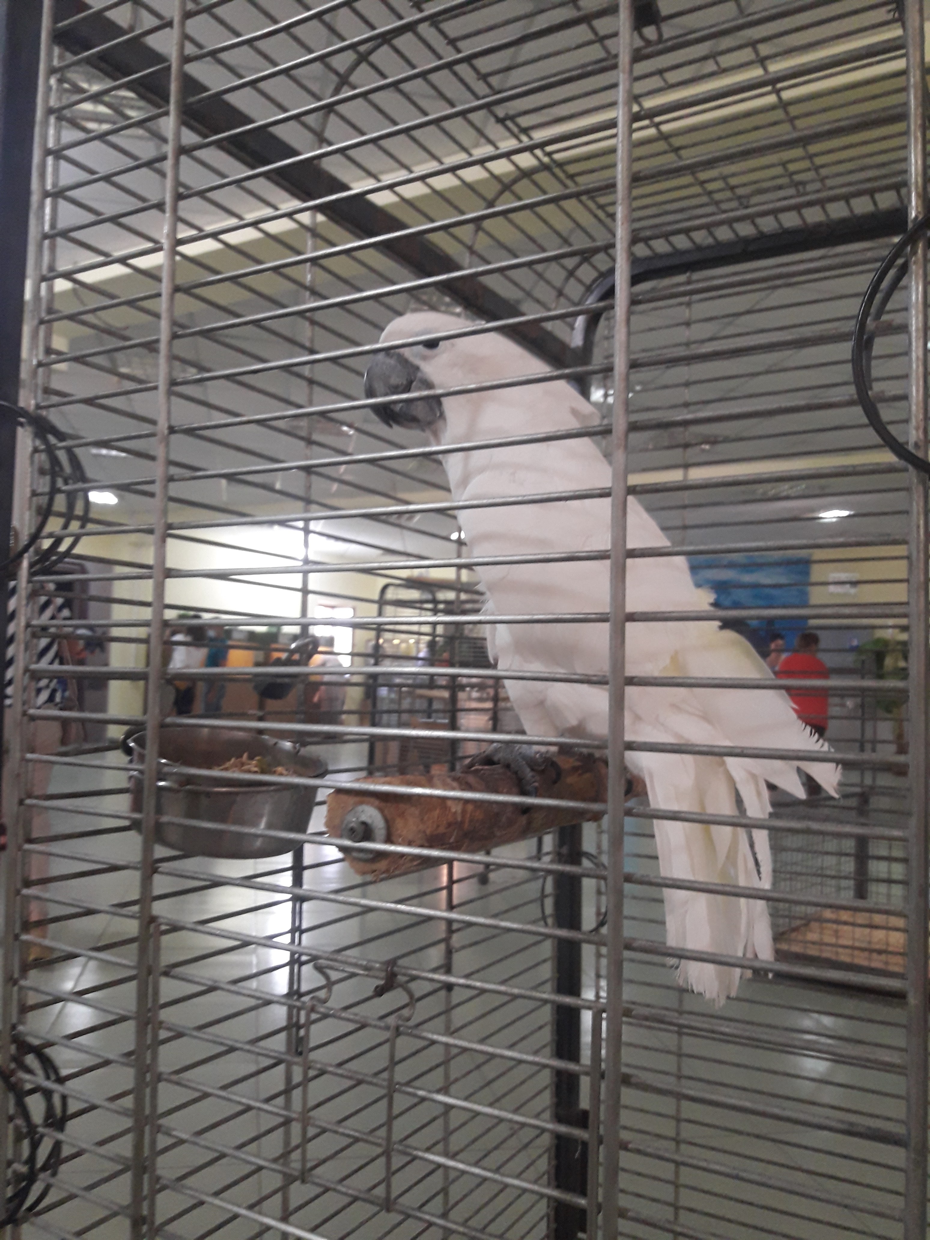 Knyazhyy Hrad image 14