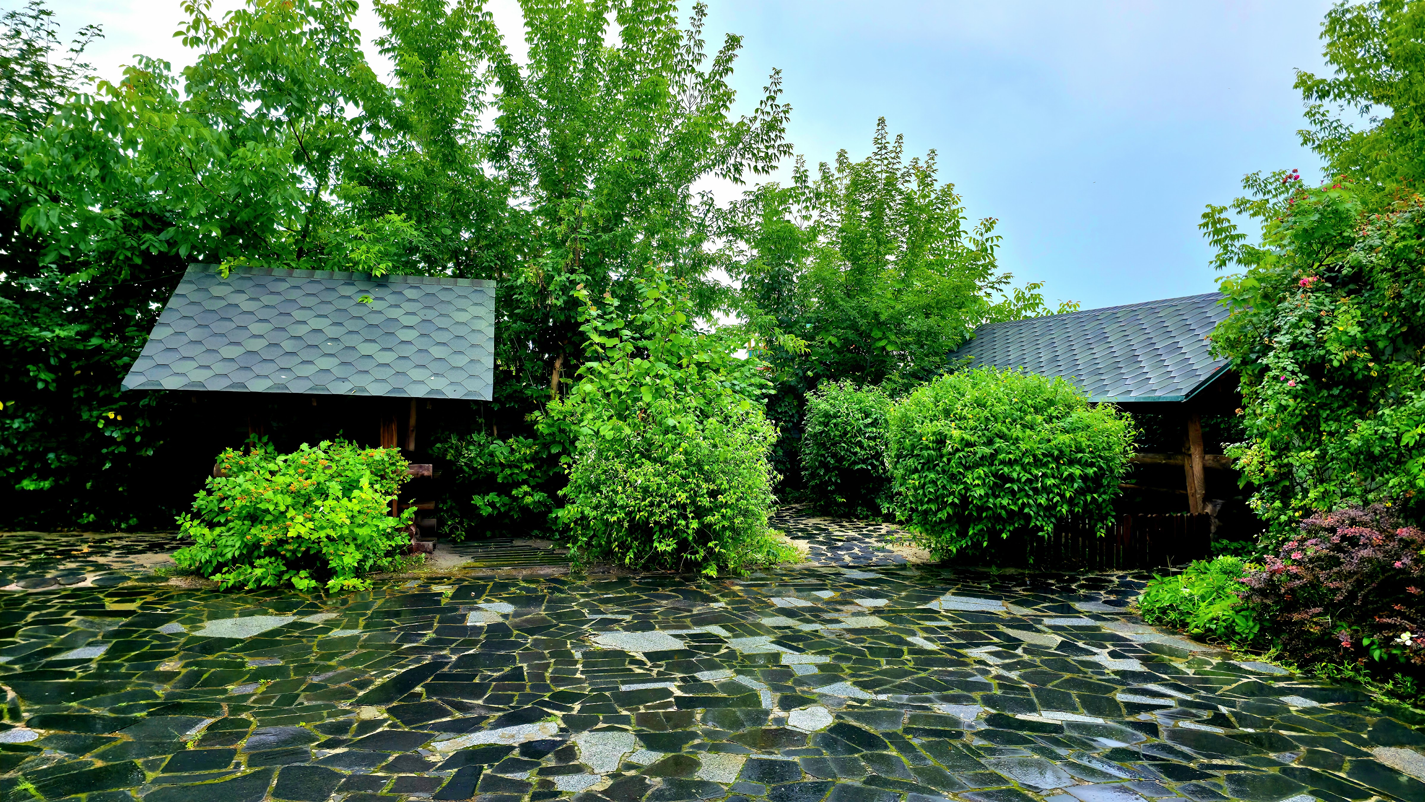 Restoratsiya, '' Romans,, image 17