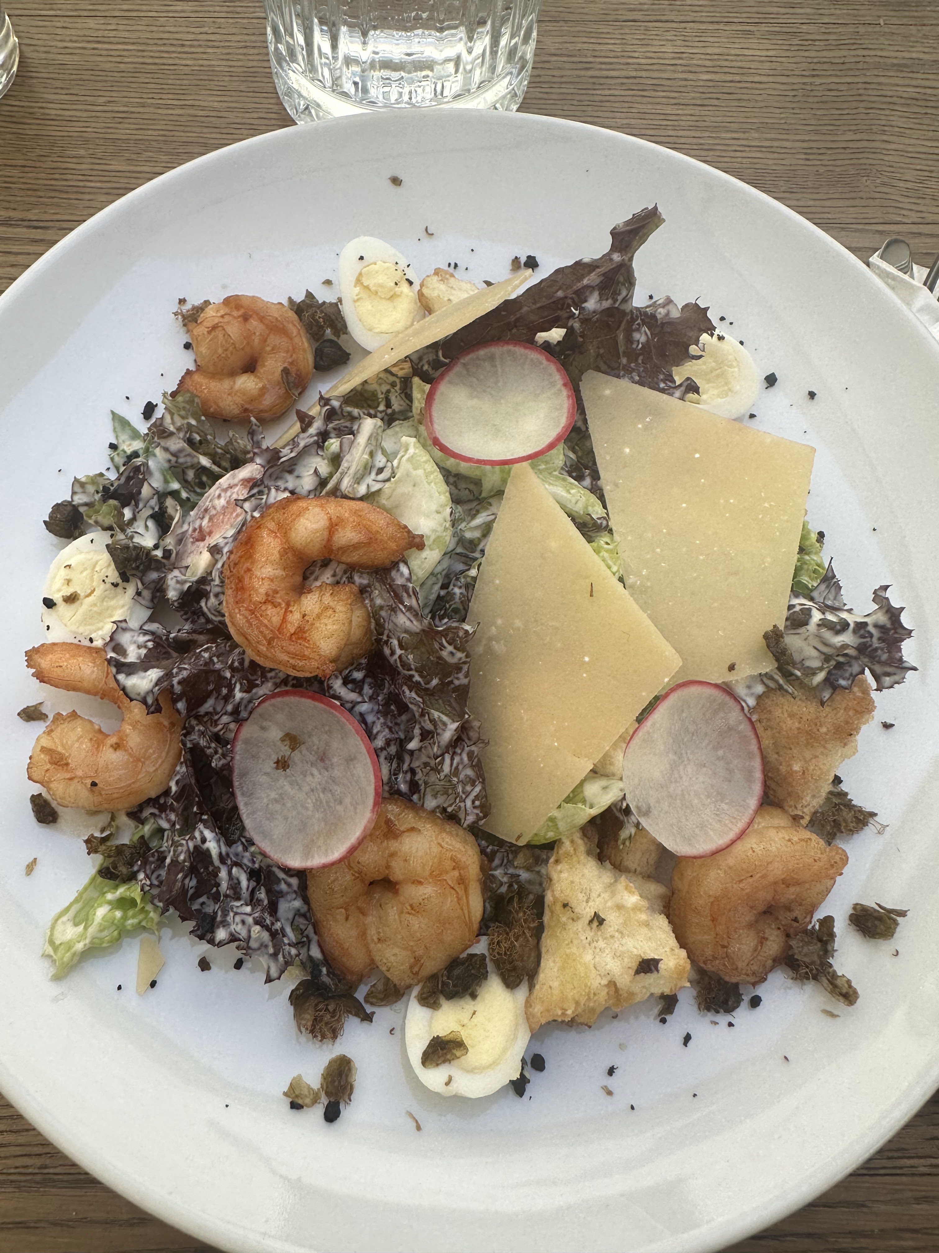 House of Triebel image 13