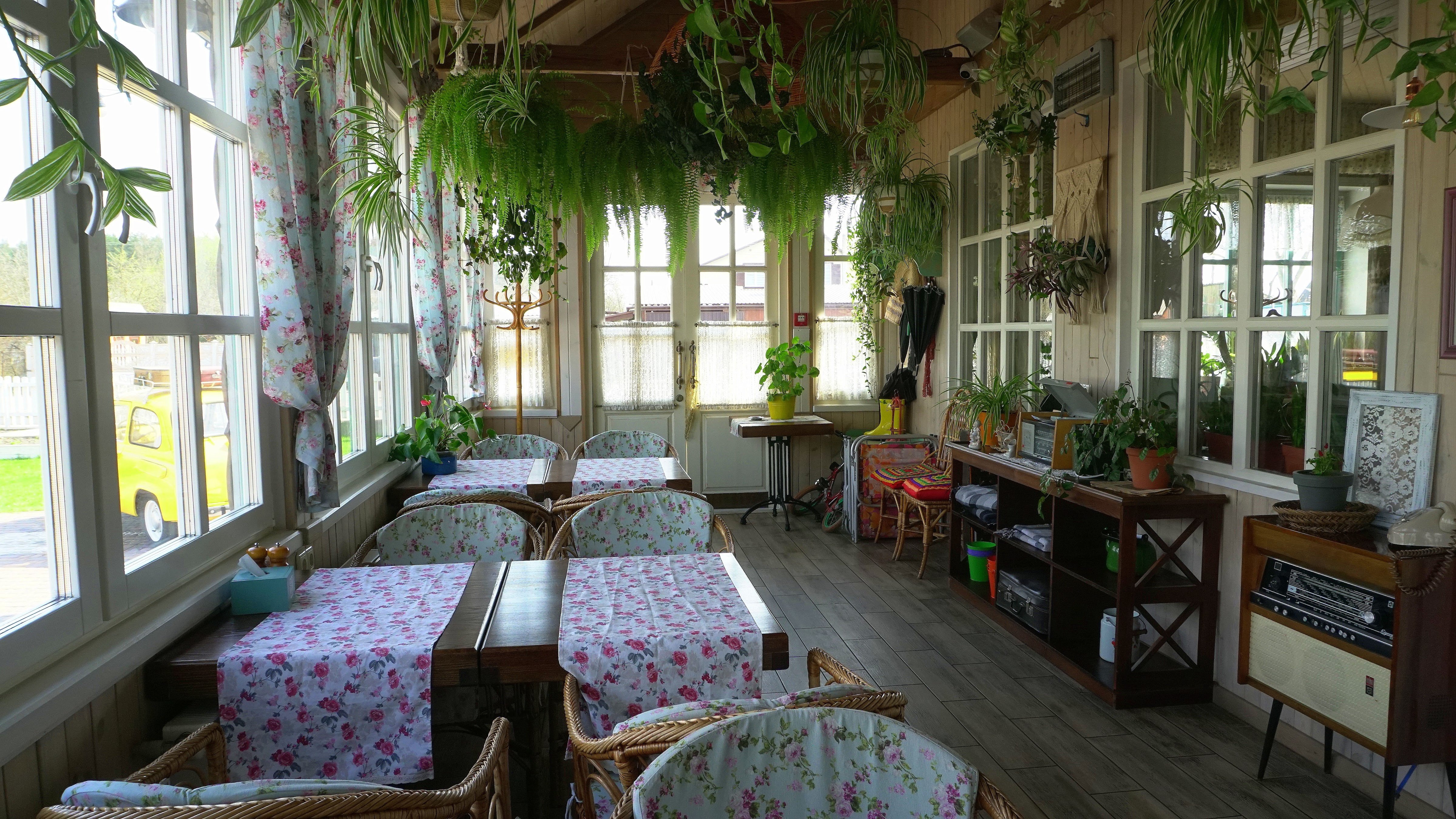 Мама Дача Ресторація image 11