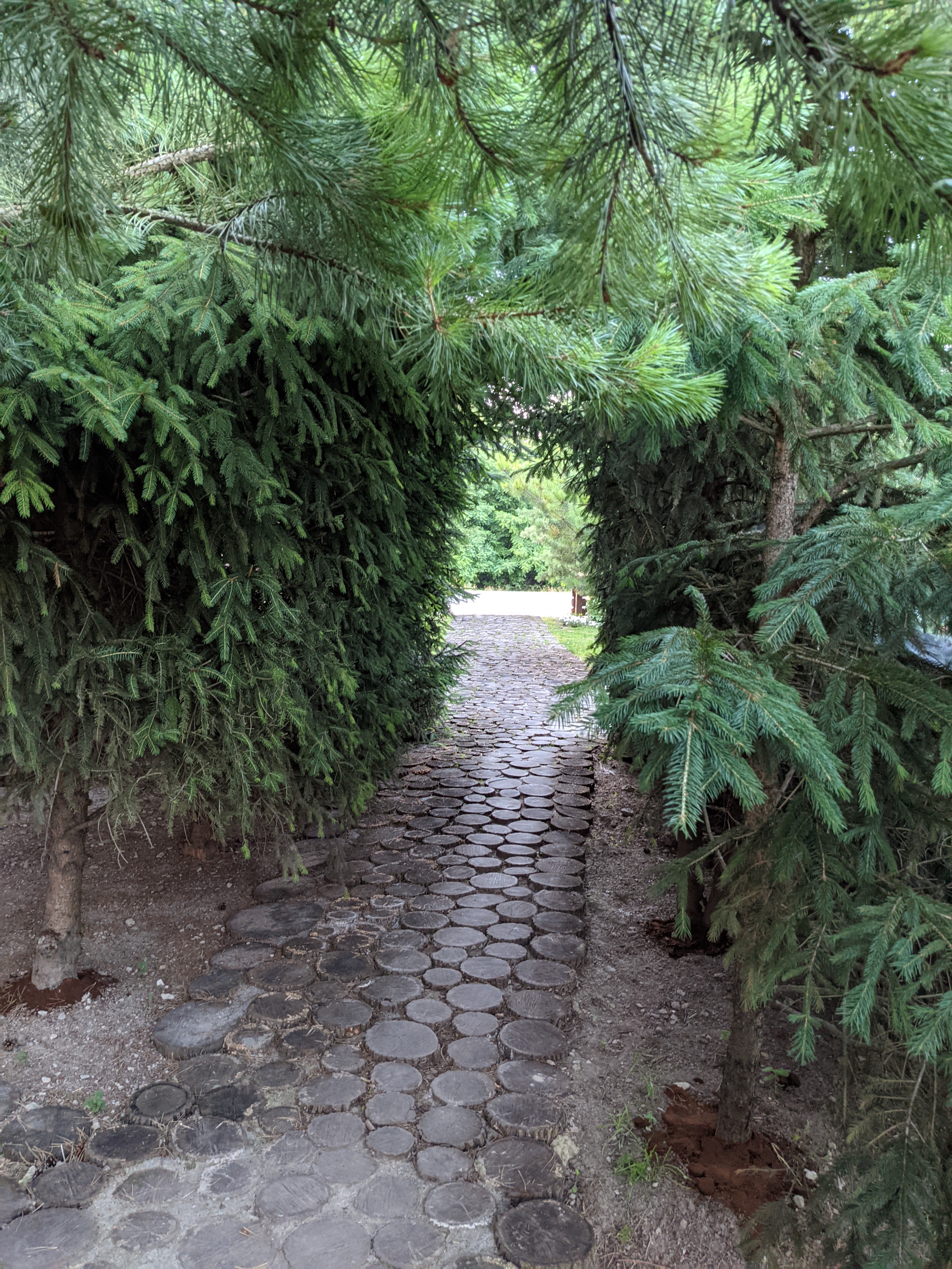 Babusyni Vytrebenʹky image 20