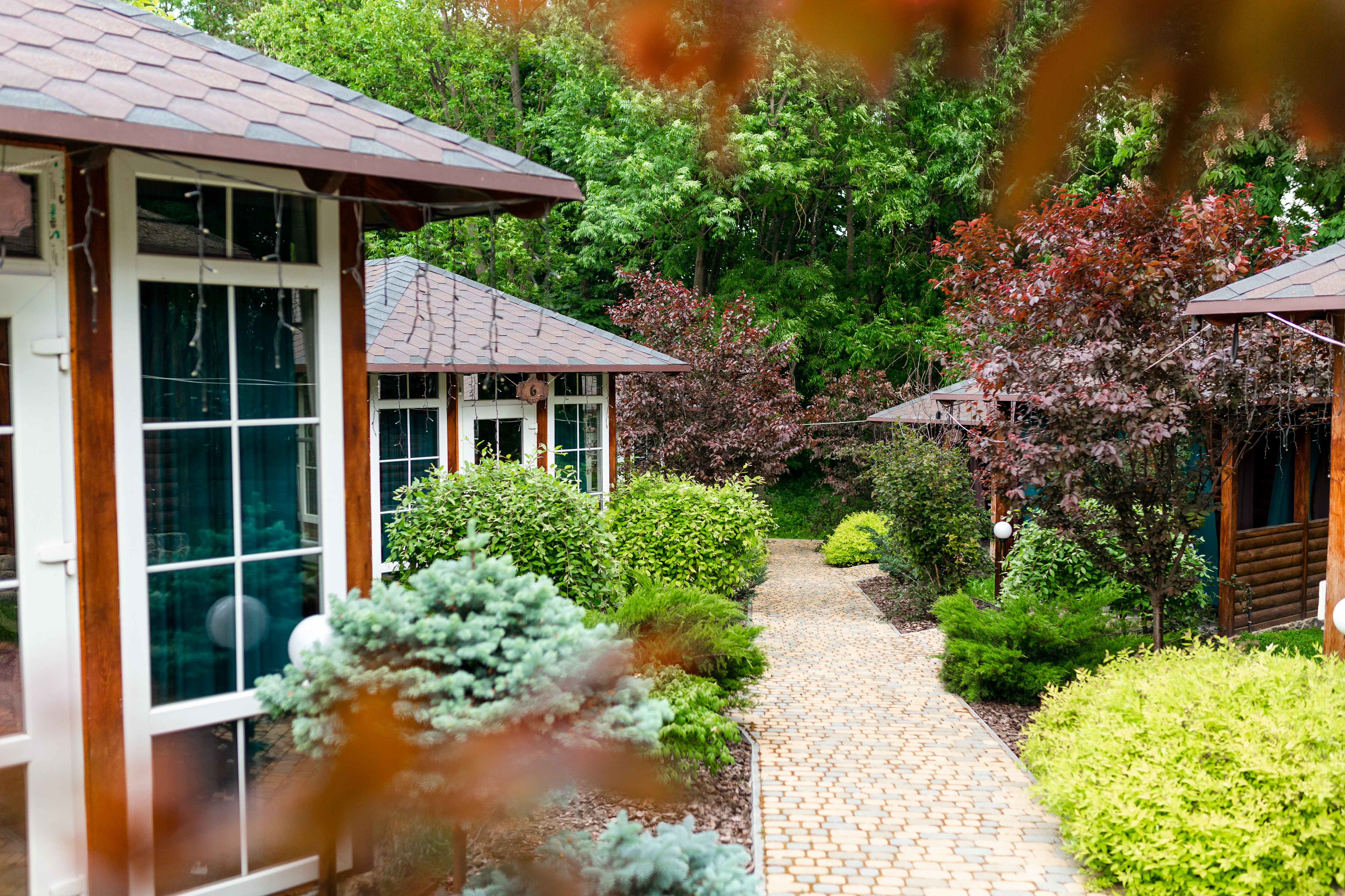 Варвара image 20