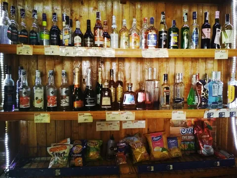 Dacha image 1