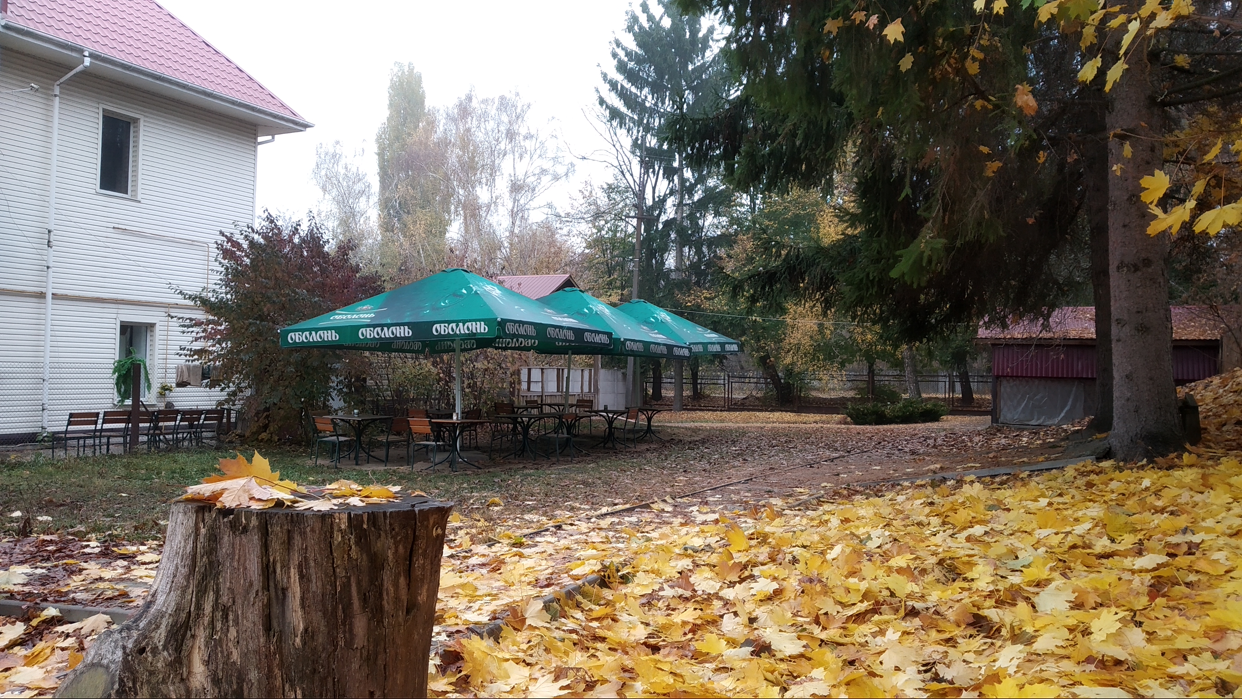 Polʹova Kukhnya image 16