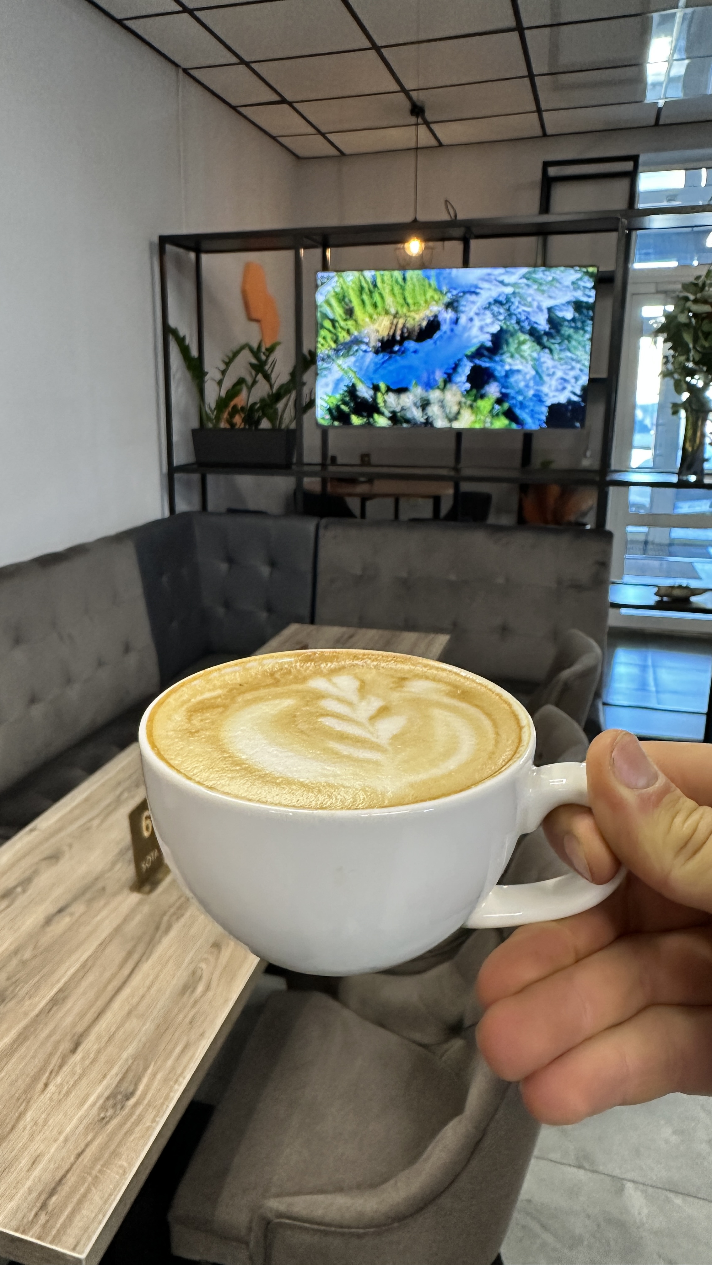 Сота Миронівка image 19