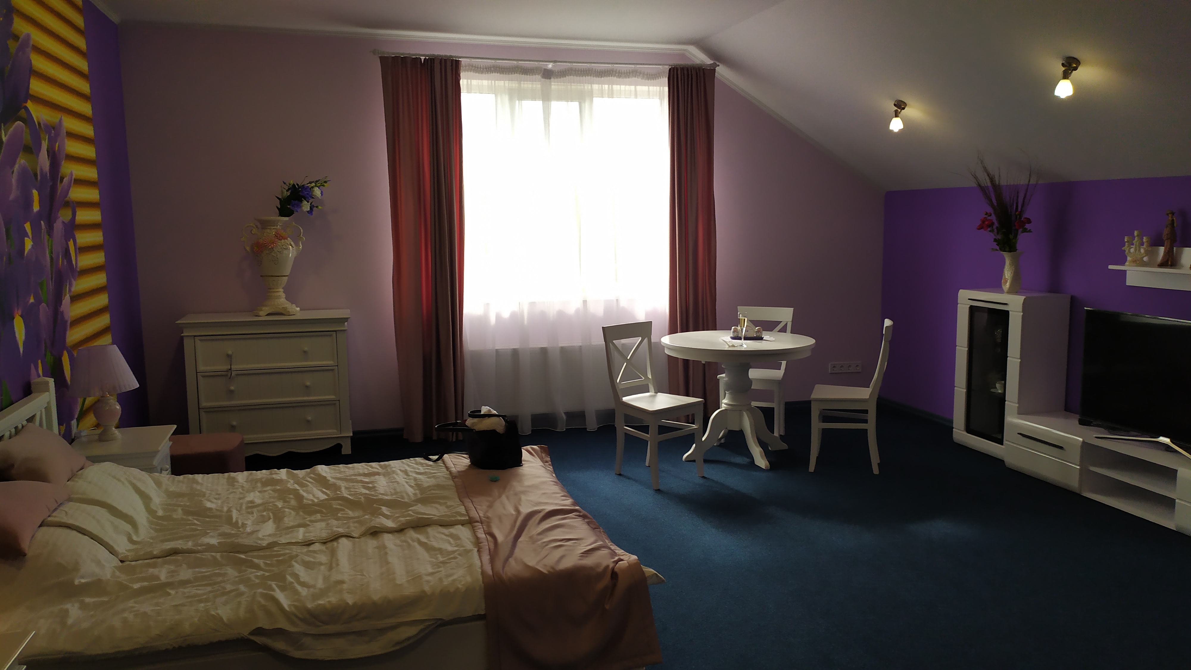 Provence image 19