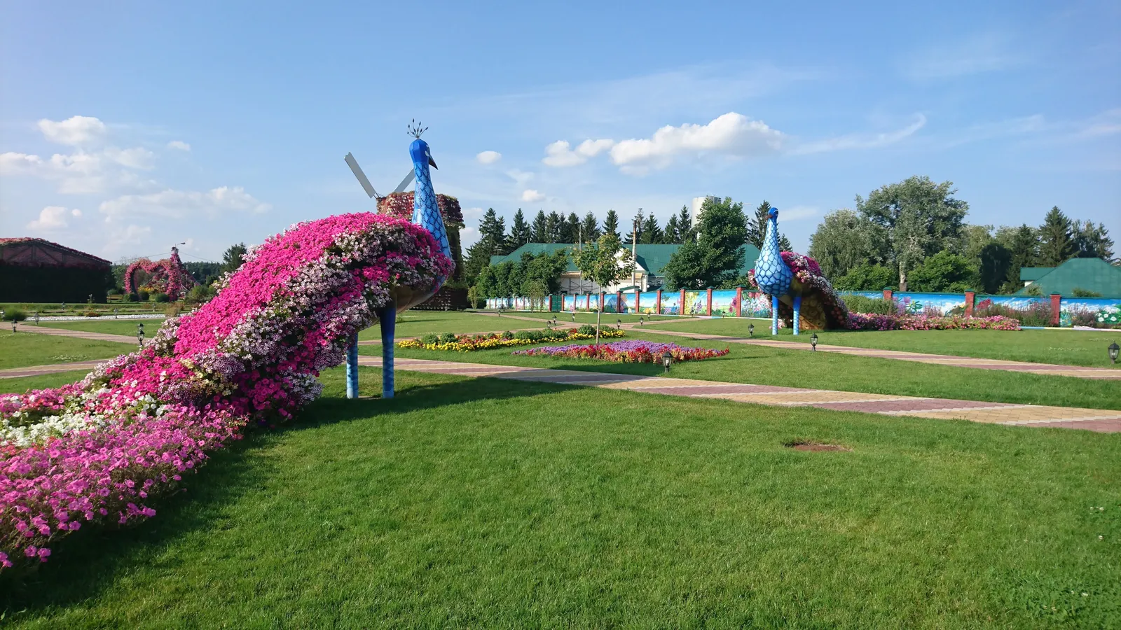 Колос image 14