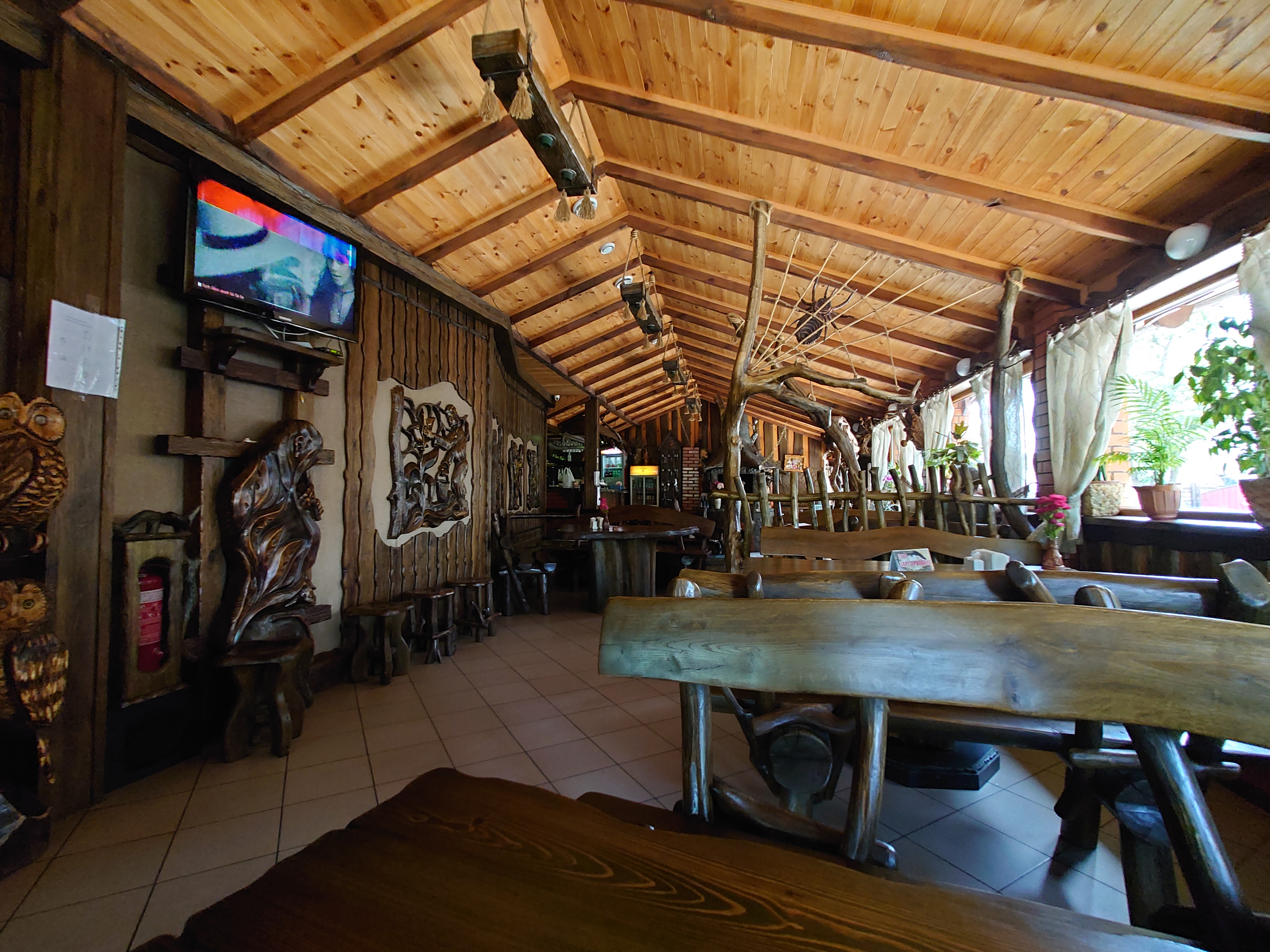 Drimuchyy Lis image 14