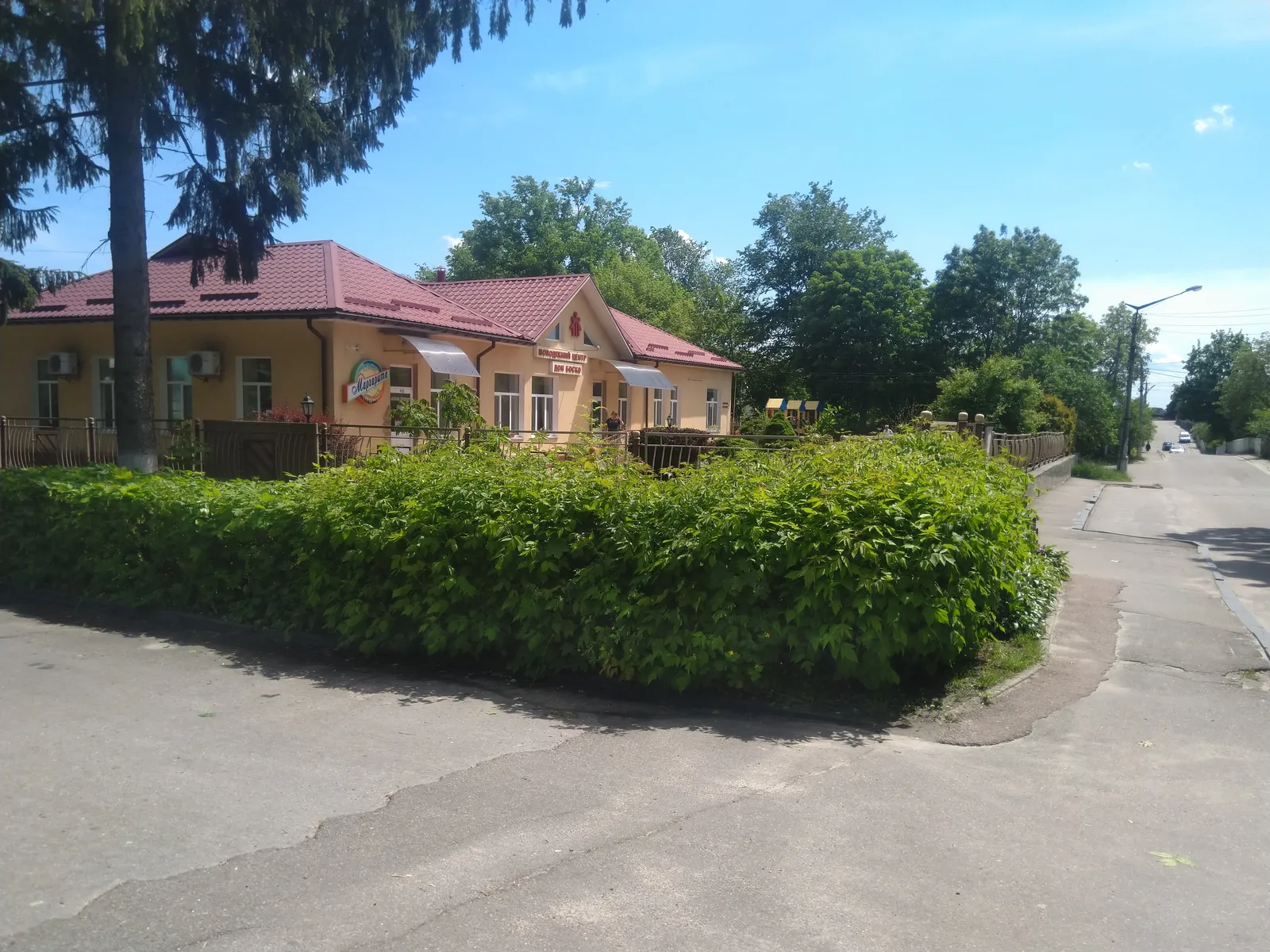 Marharyta image 18
