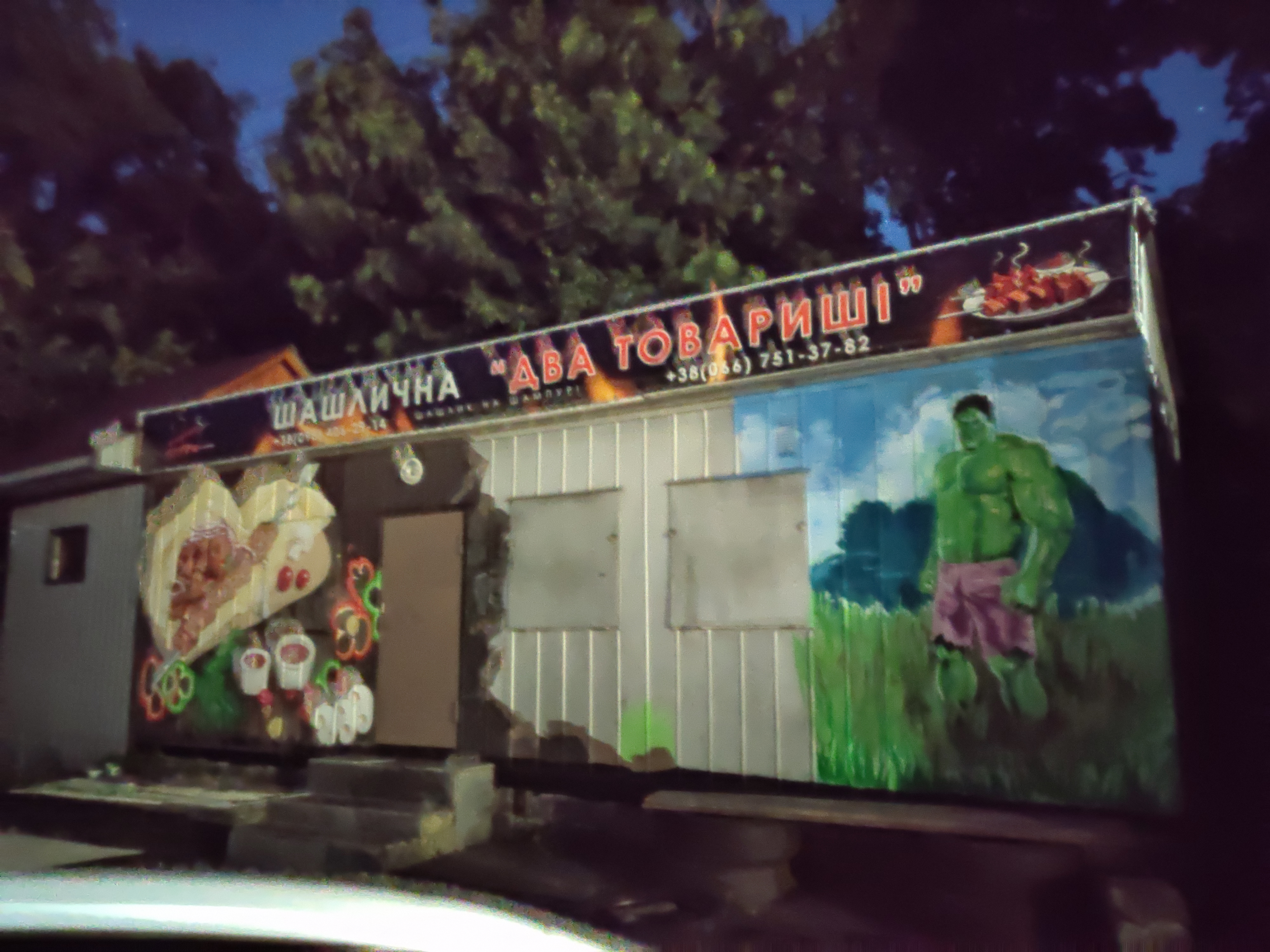 Shashlychna " Dva Tovaryshi" image 16