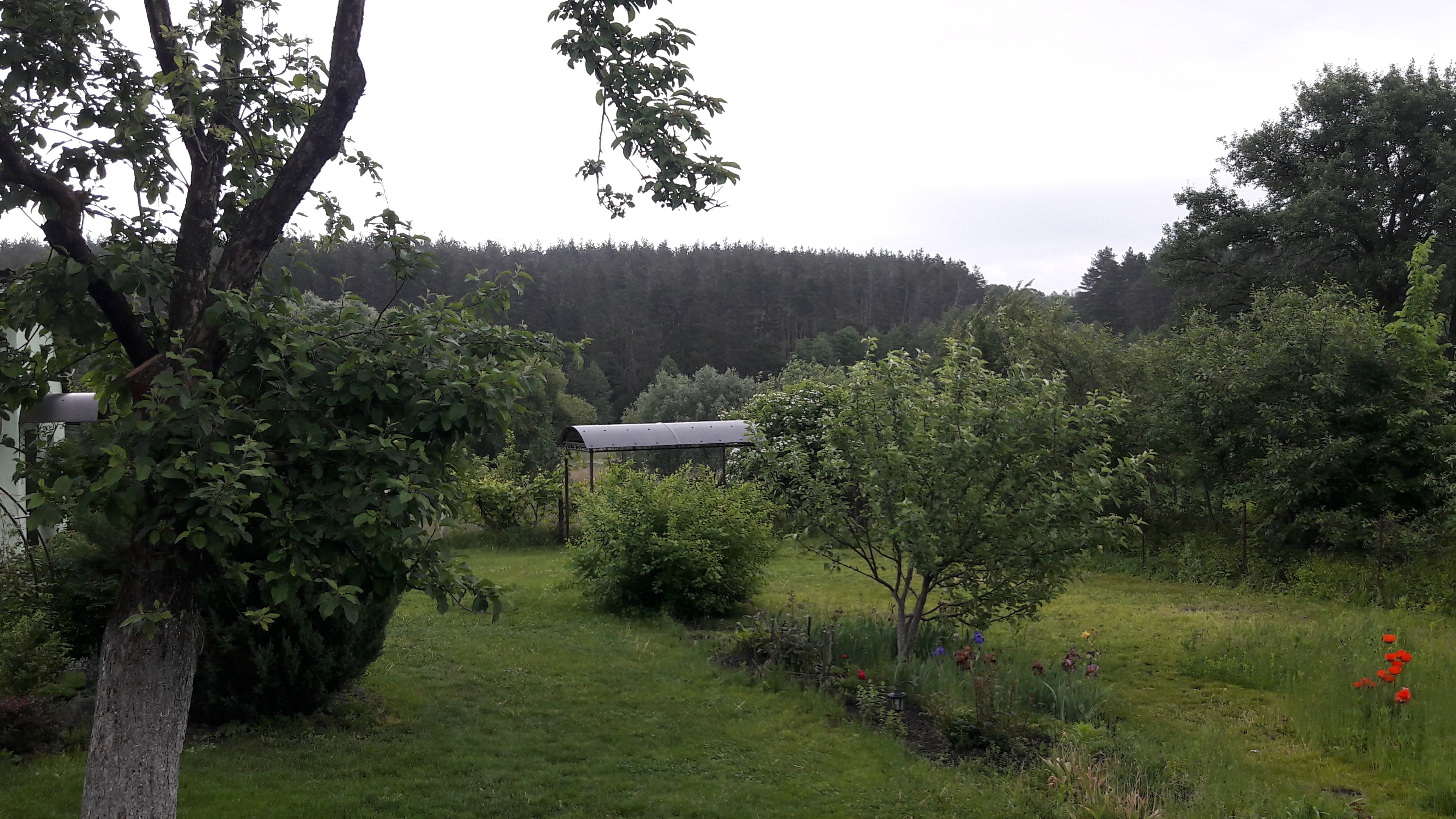 Катеринка image 20