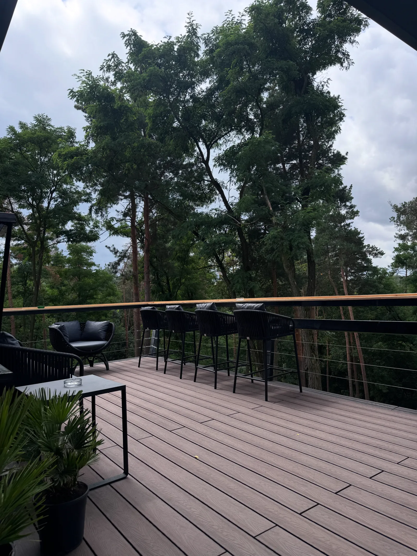 Pine image 19