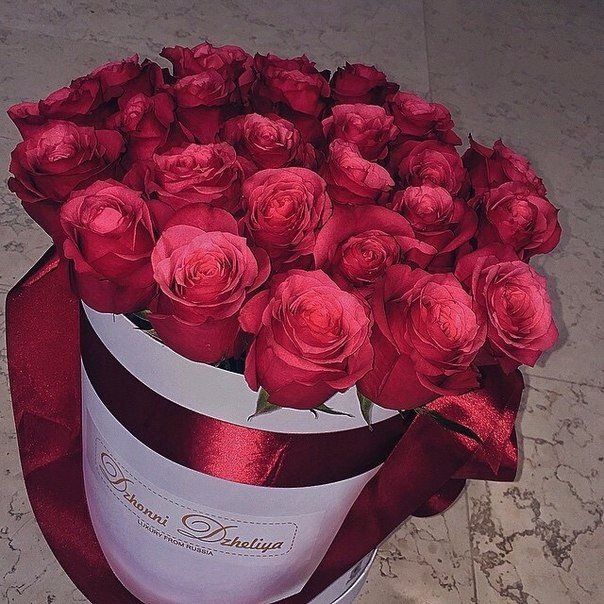 Golden Field image 13