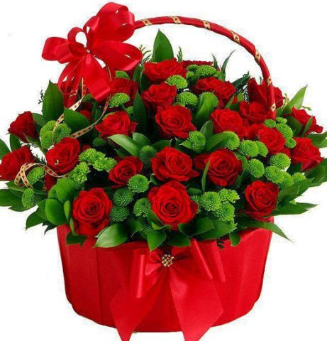 Golden Field image 15