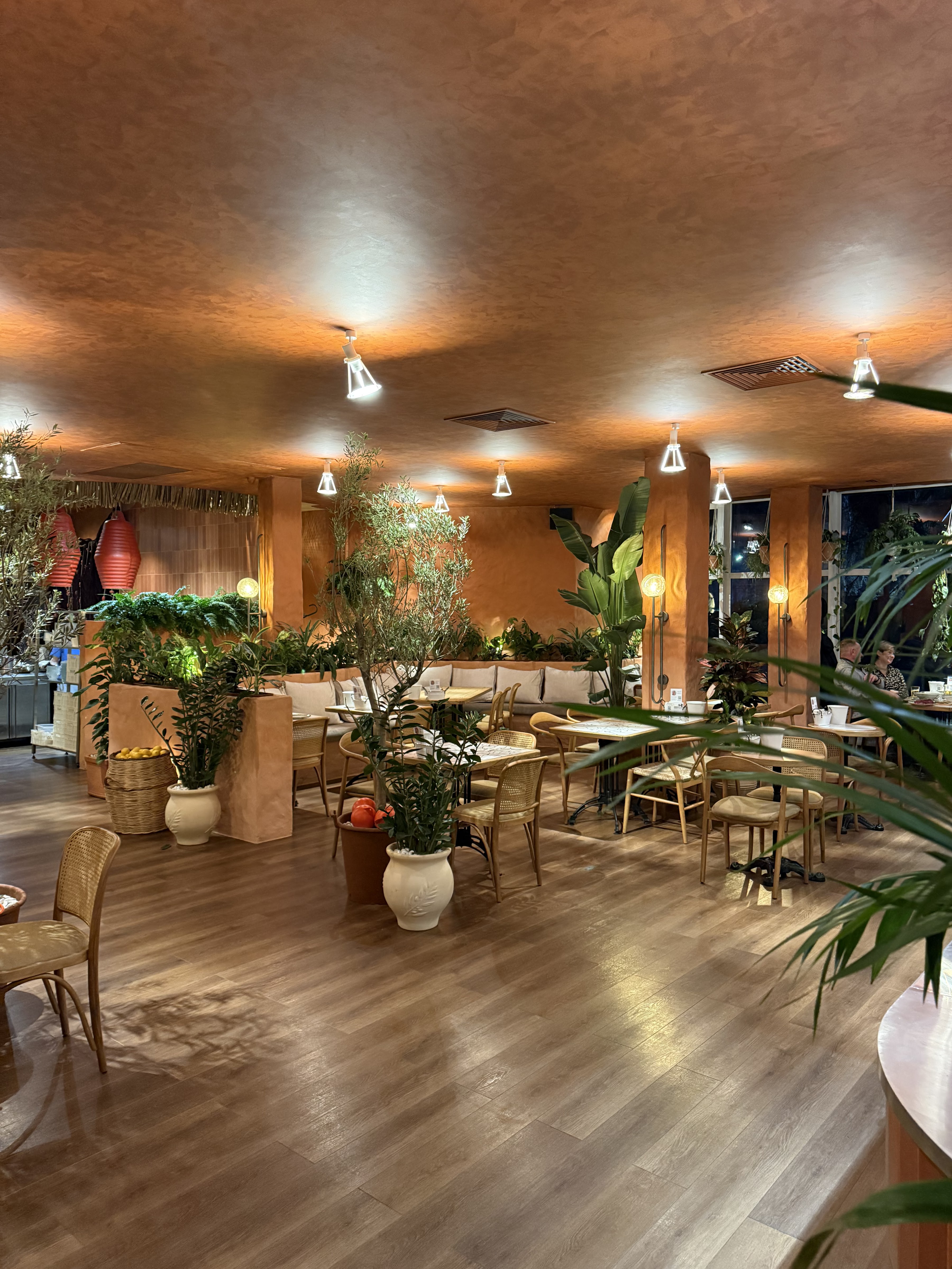 Chornomorka image 12