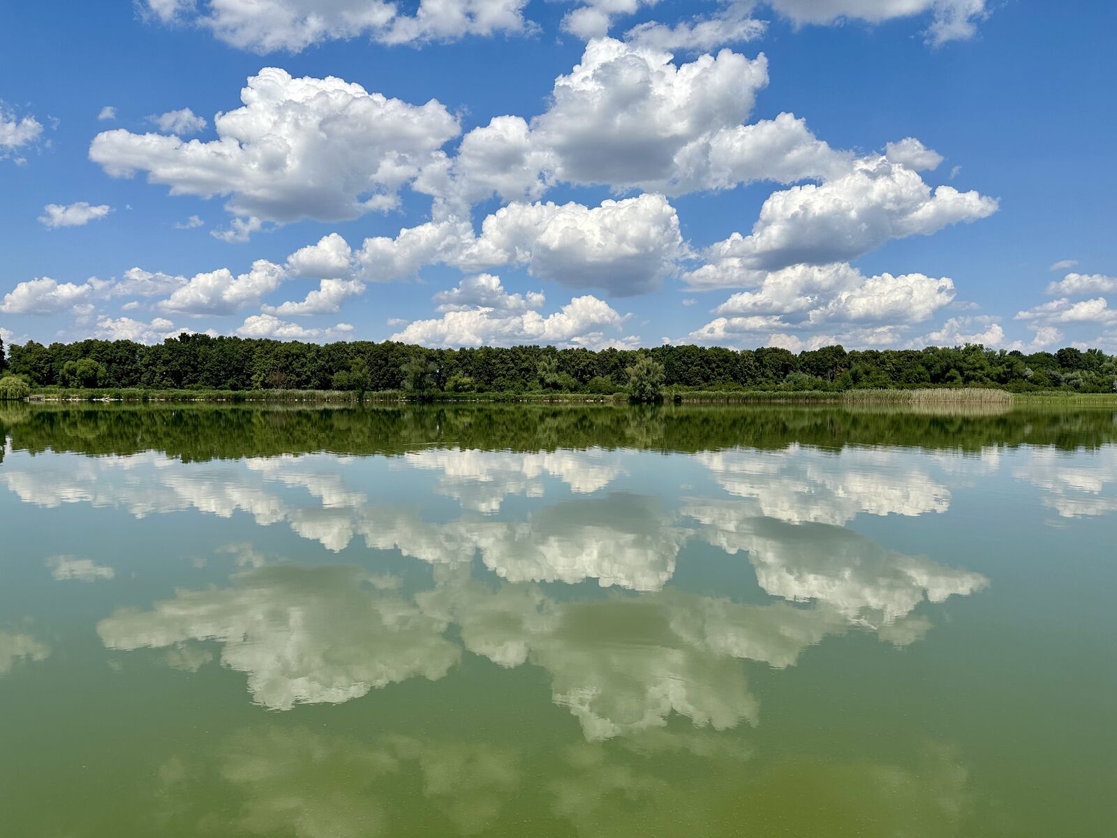 Fishing farm image 19