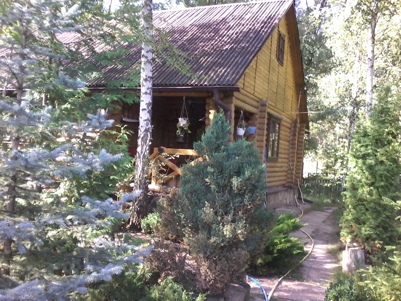 SimonGrills image 20