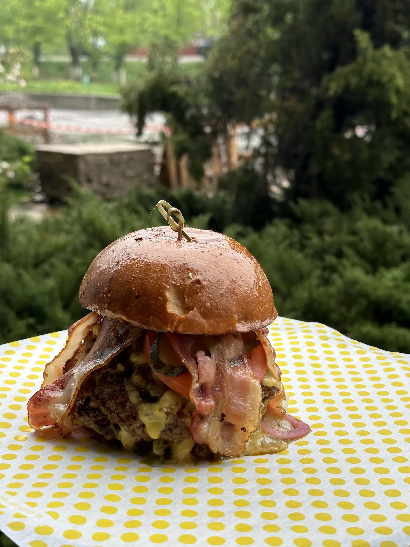 GO Burger image 12