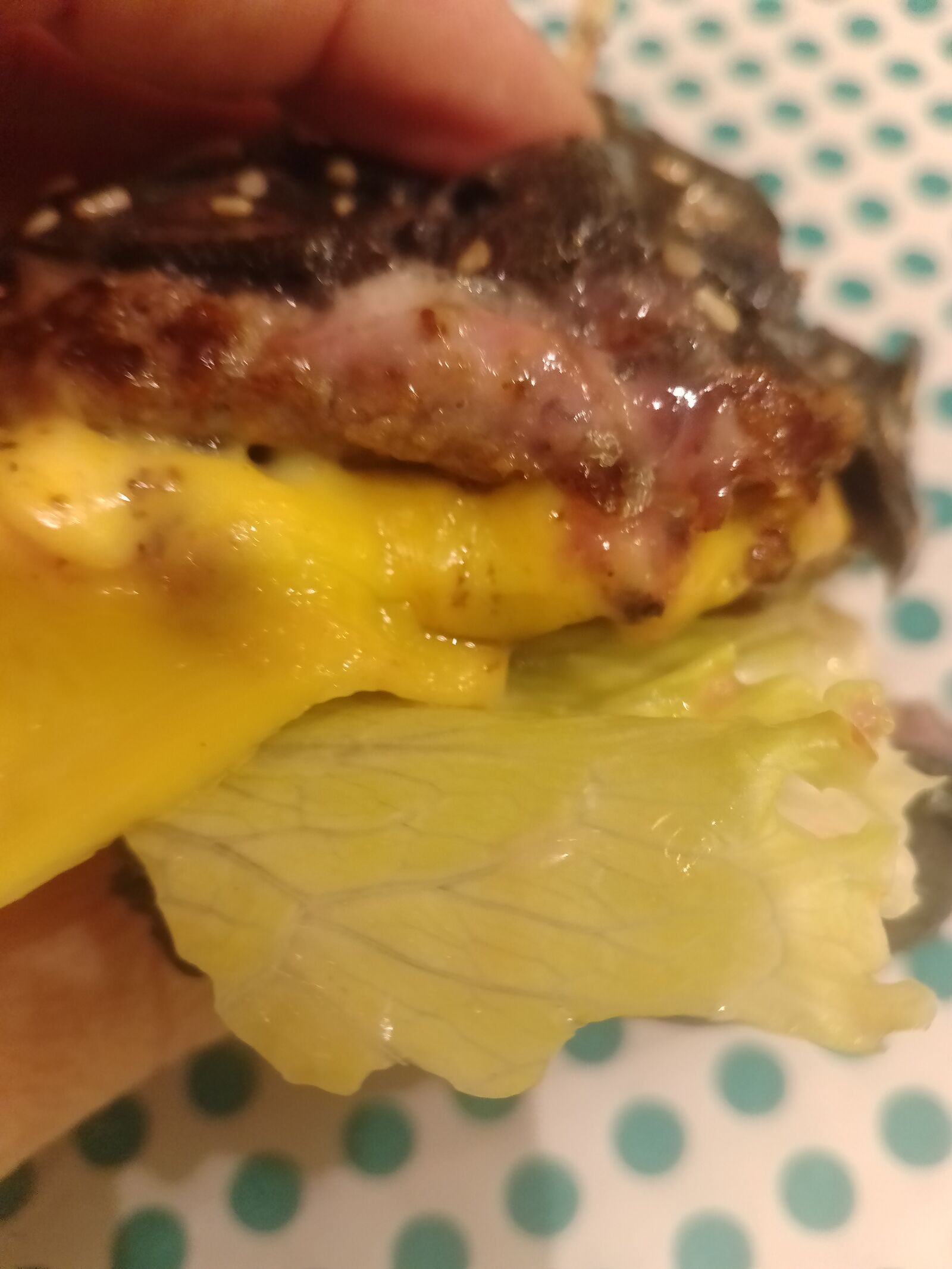 GO Burger image 17