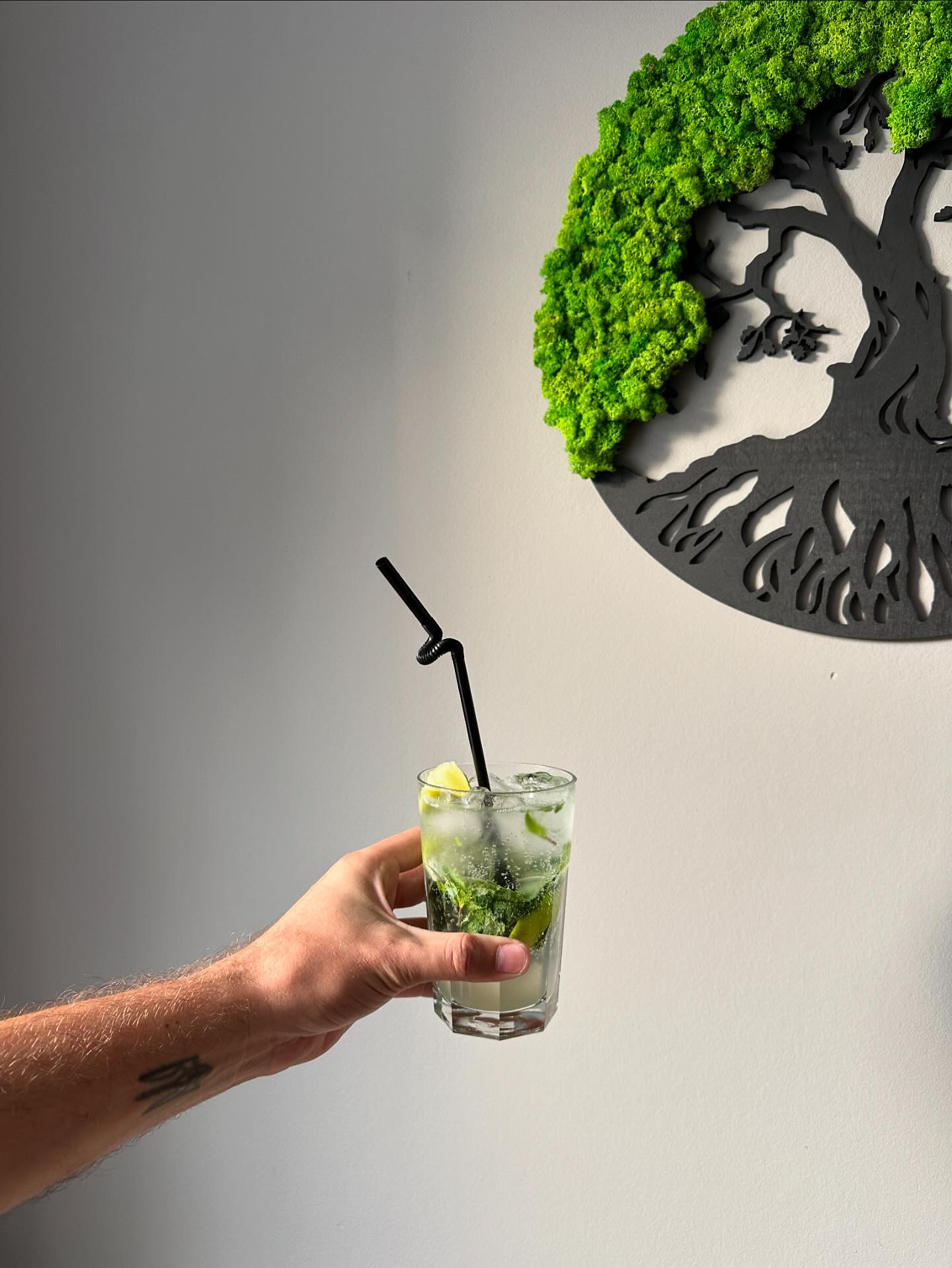 SUSHI BONSAI image 14