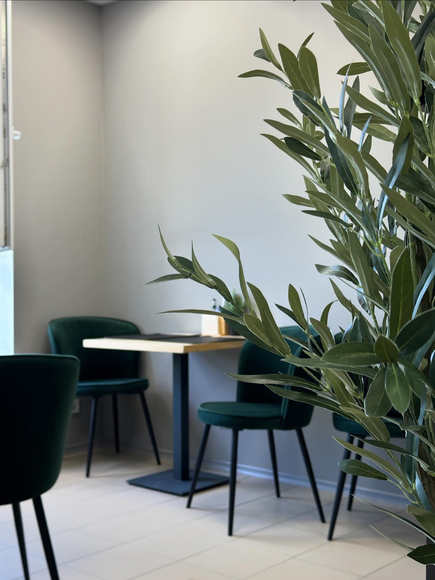 SUSHI BONSAI image 17