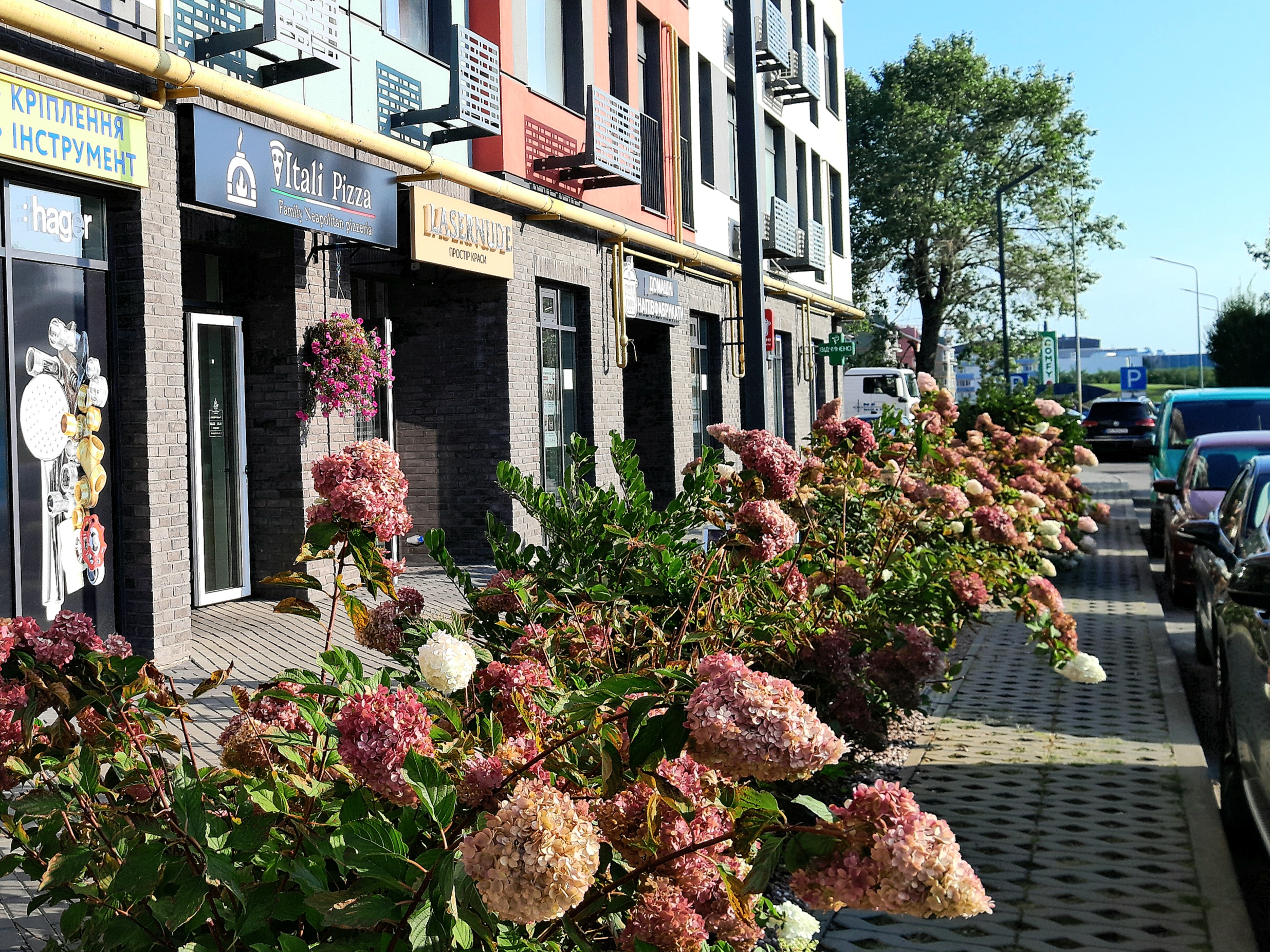 Vitali pizza,піца,Гатне,Чабани,Віта поштова image 20