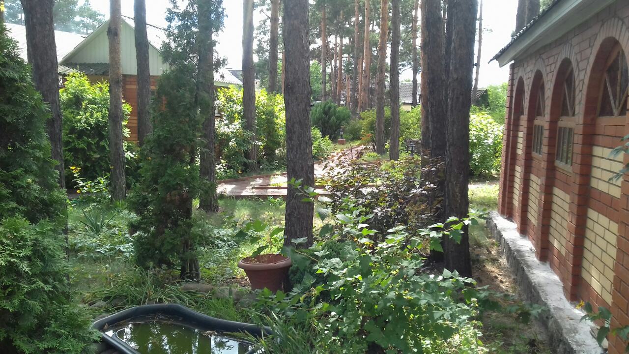 Nushy Dzhan image 12