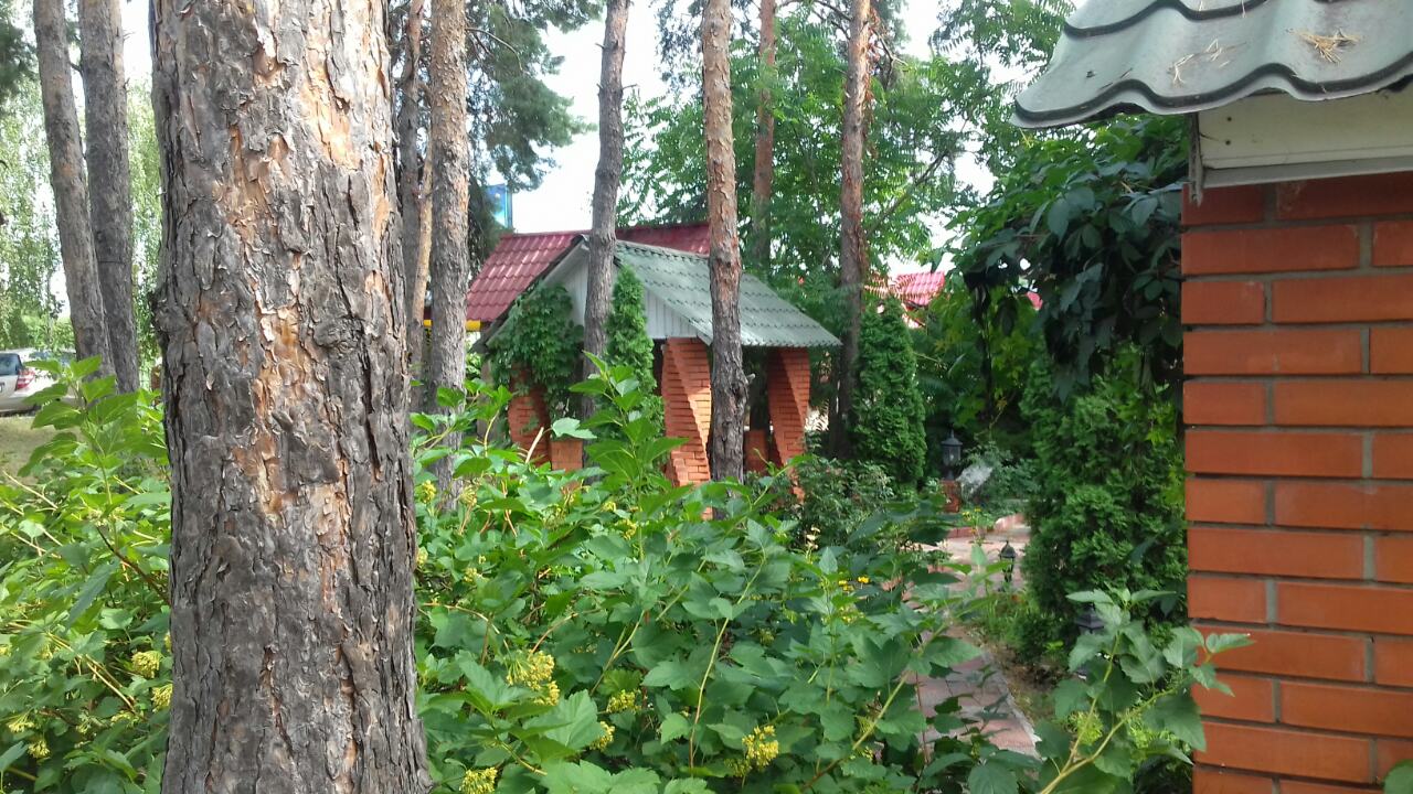 Nushy Dzhan image 20