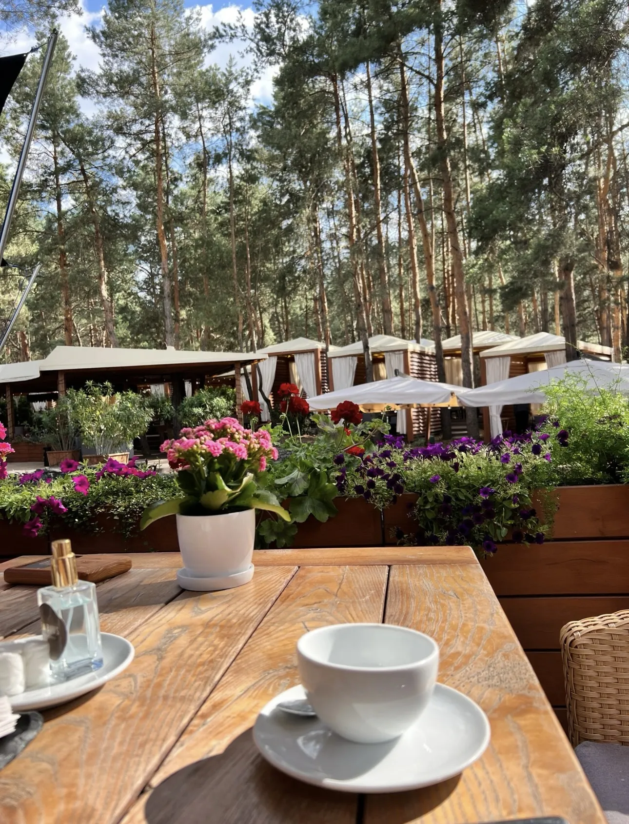 Fabius Restaurant image 19