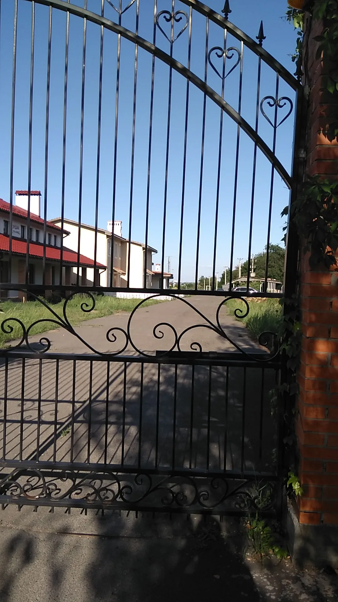 Vertuta image 19