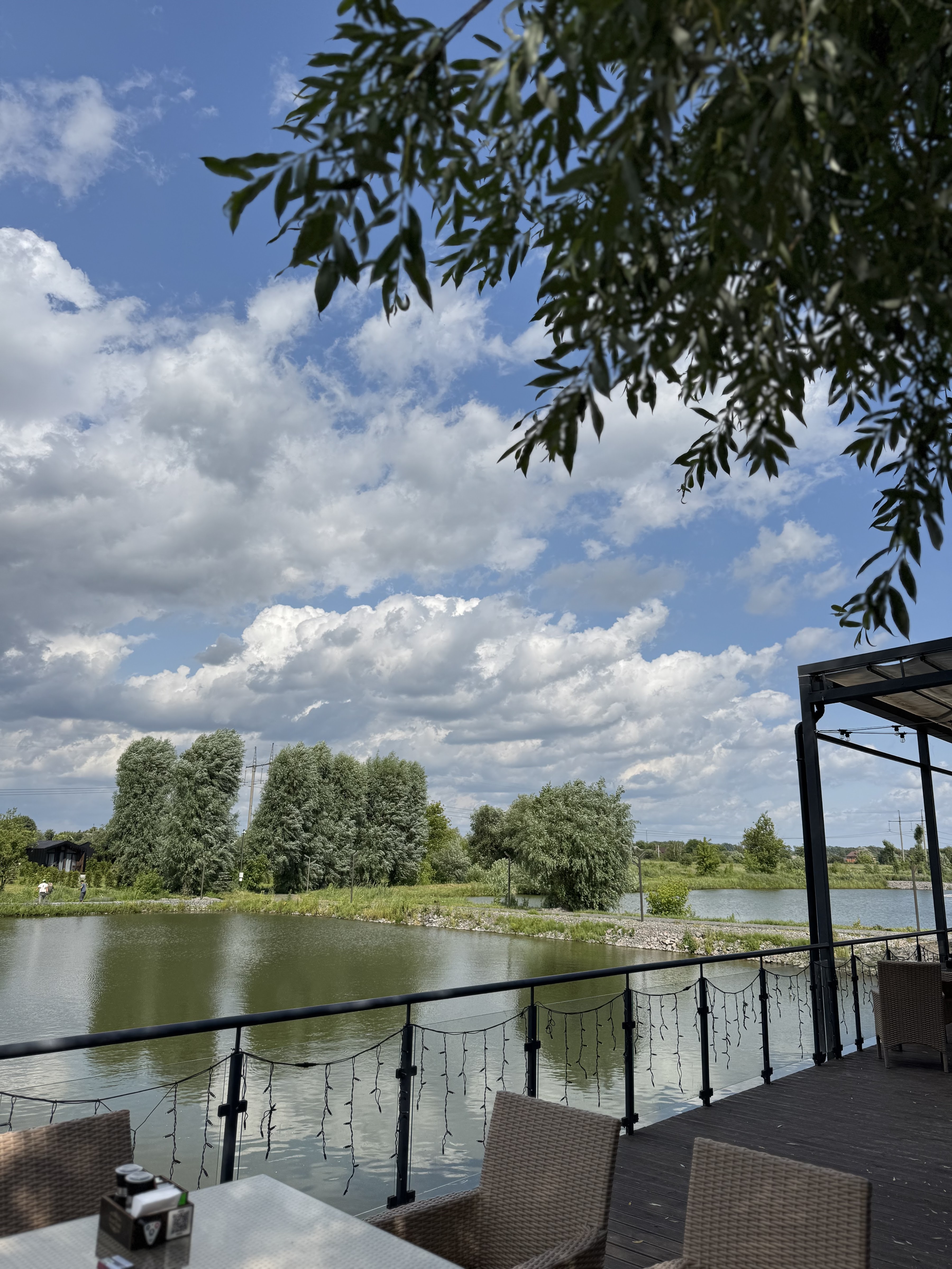 Secret Forest image 19