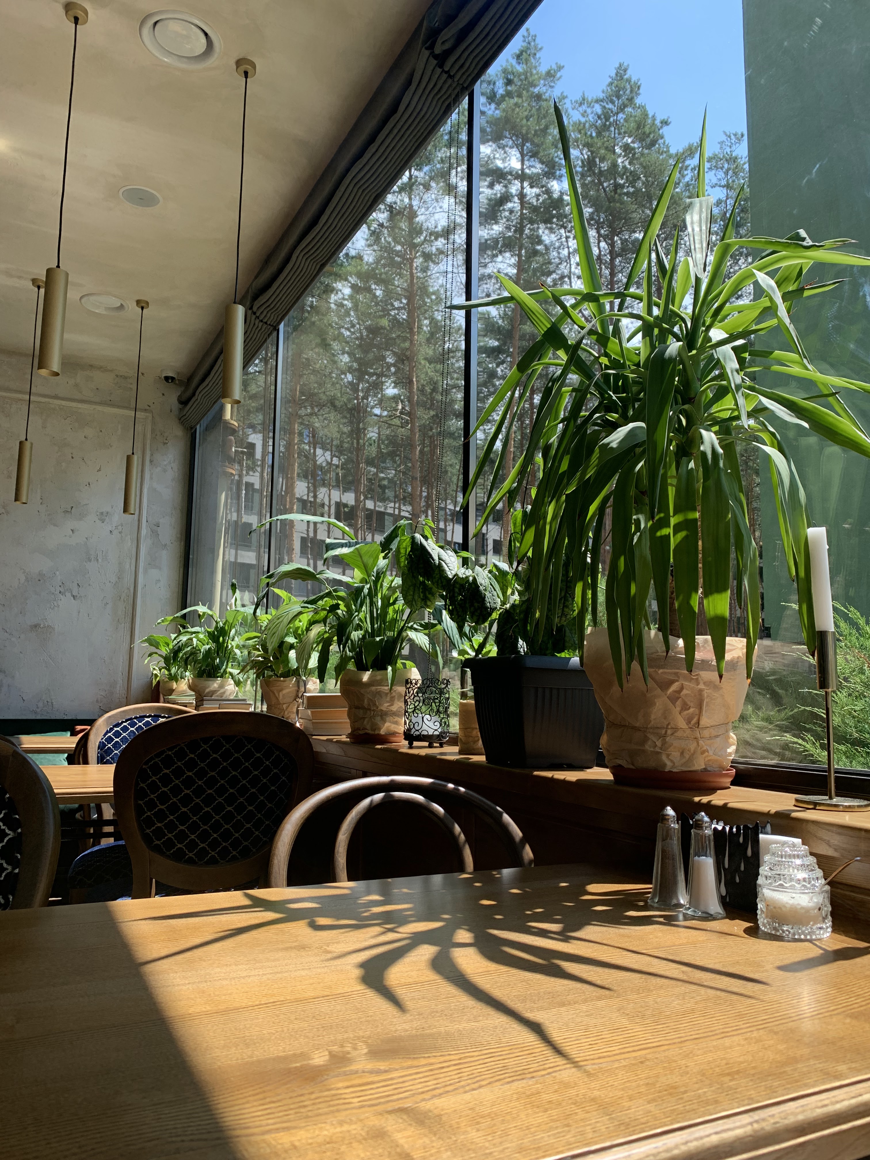 Lampara, Family & Friends cafe image 17