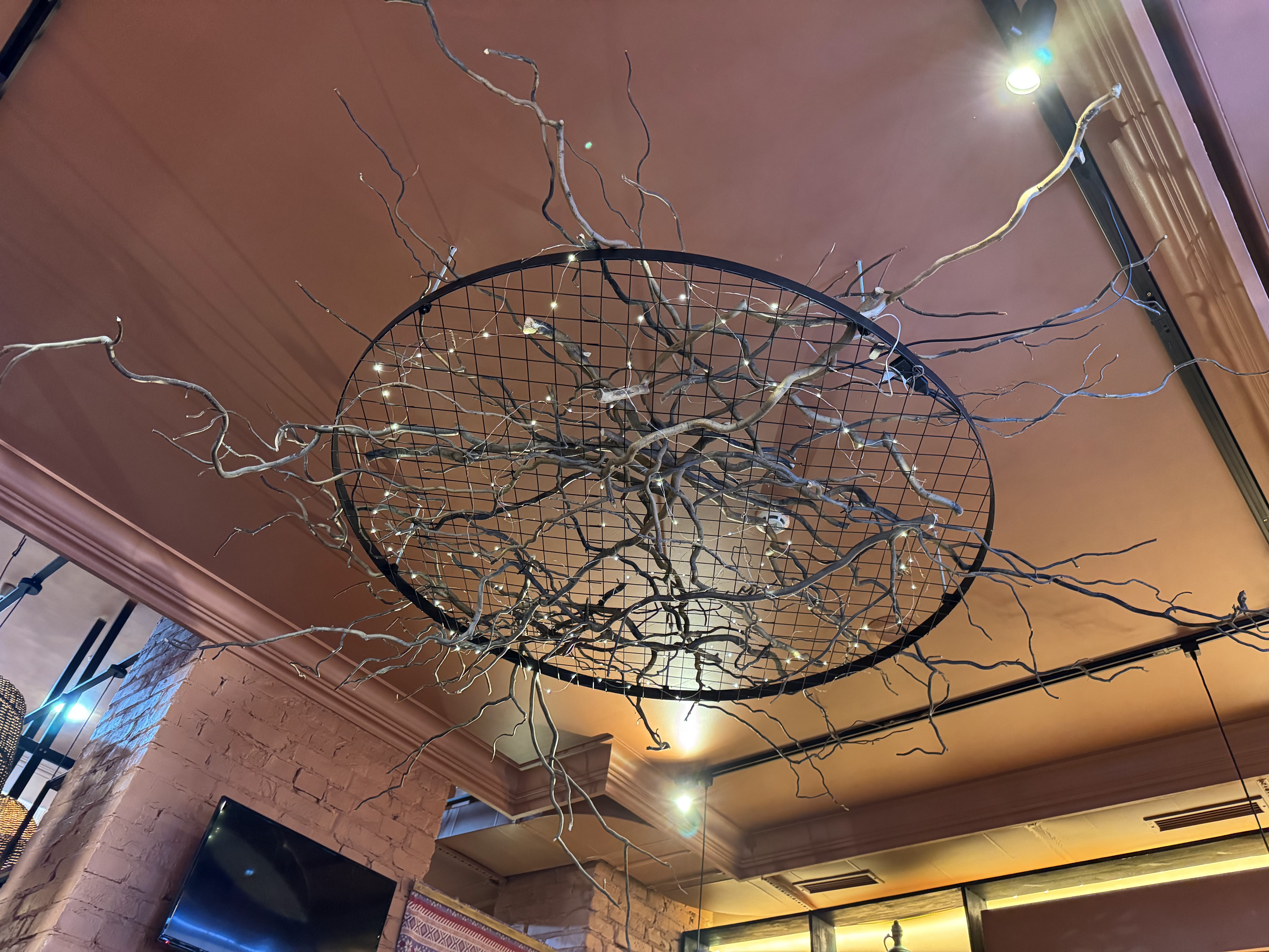 Chichilaki Svyatoshynsʹka image 18