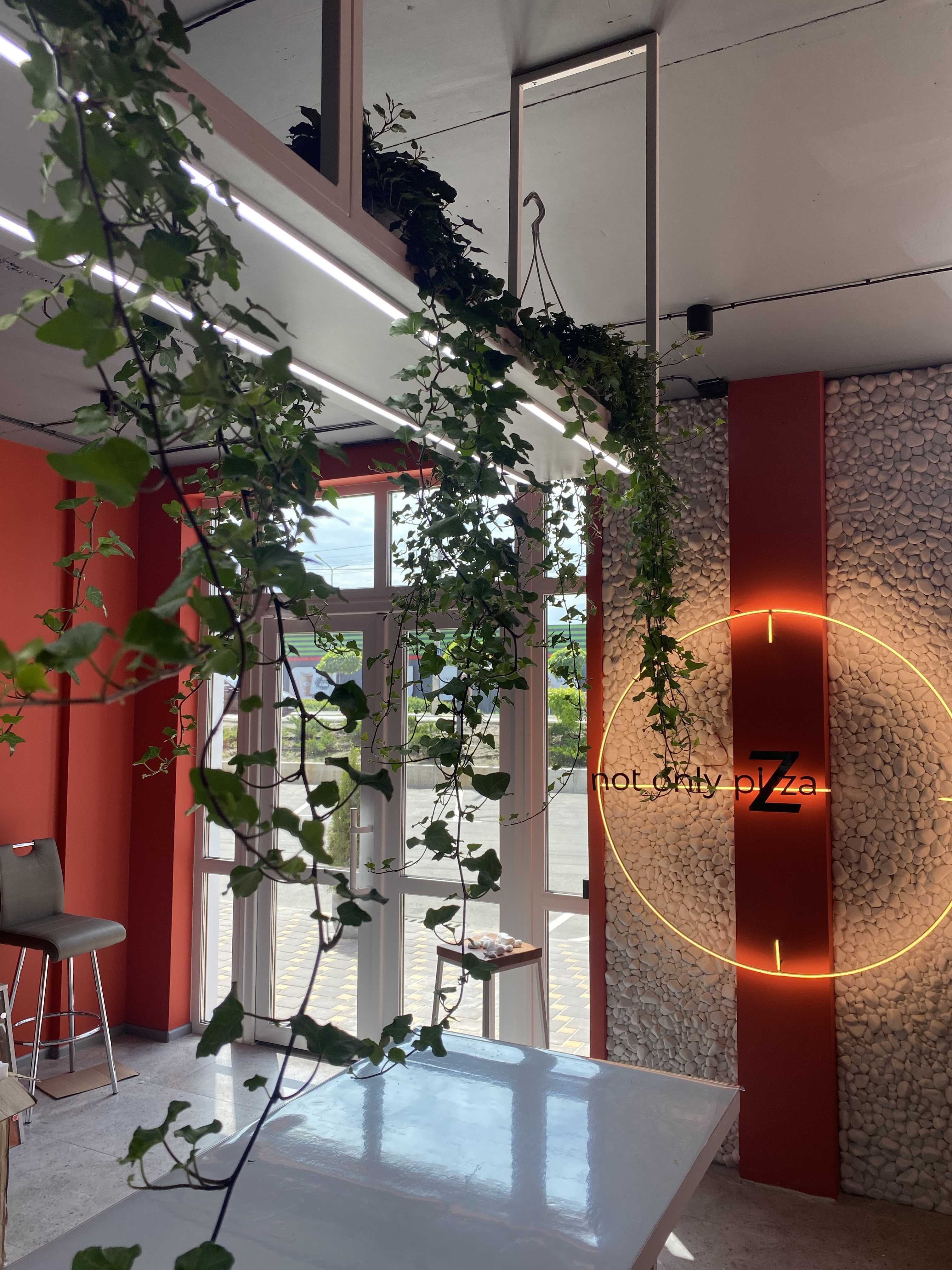 Not only pizza image 11