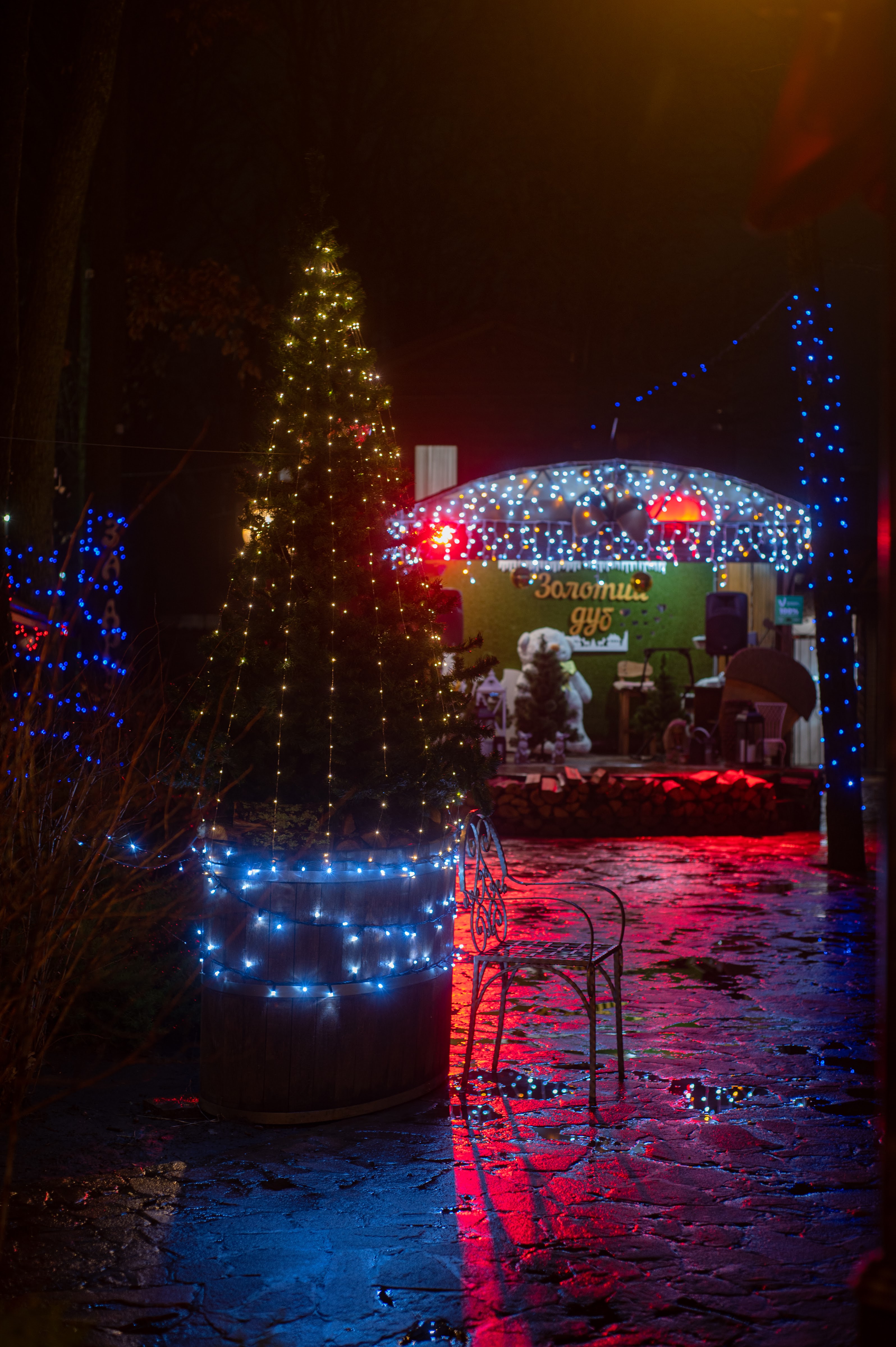 Zolotyy Dub image 13