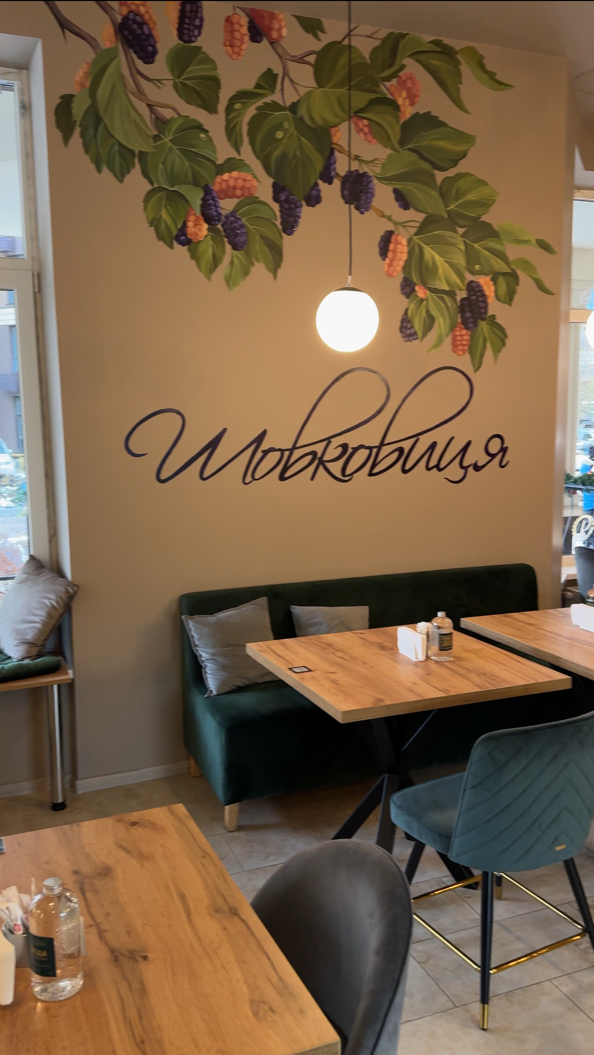 Shovkovytsya image 19