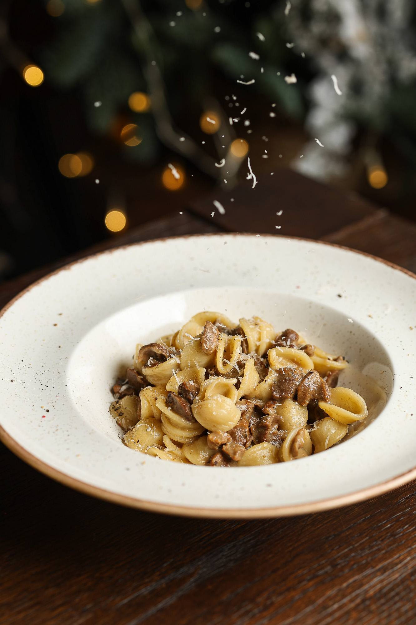 Silʹ Zemli image 16