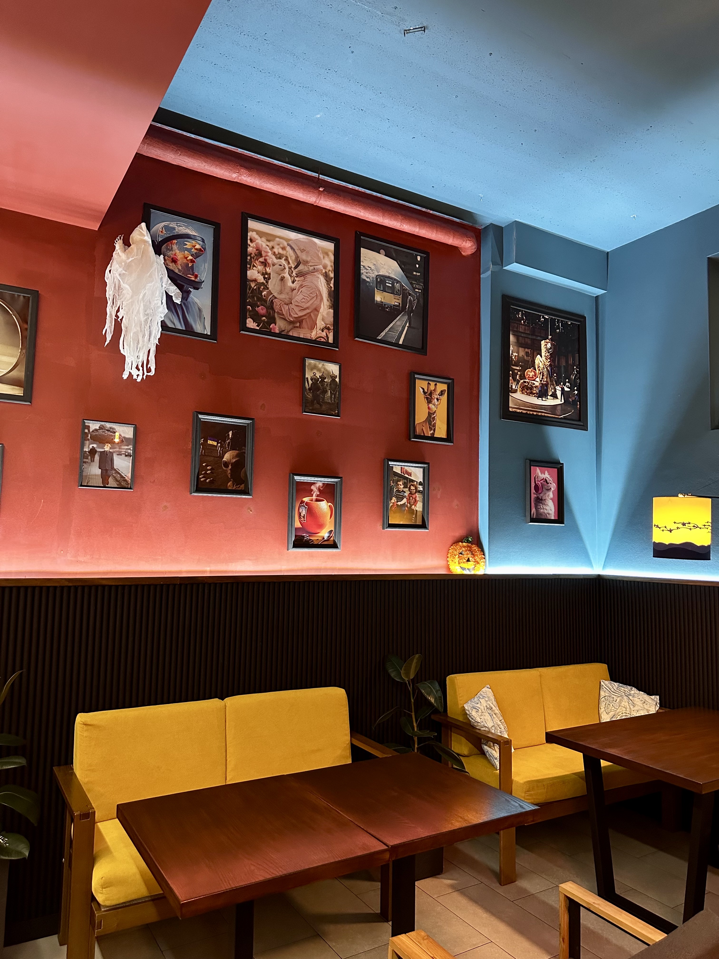 Vasha Shava image 13