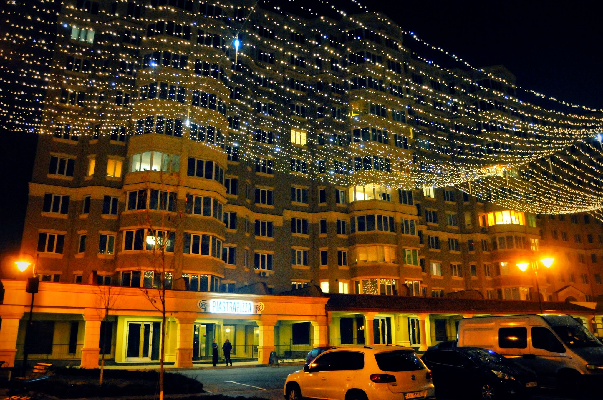 Terra pizza image 14