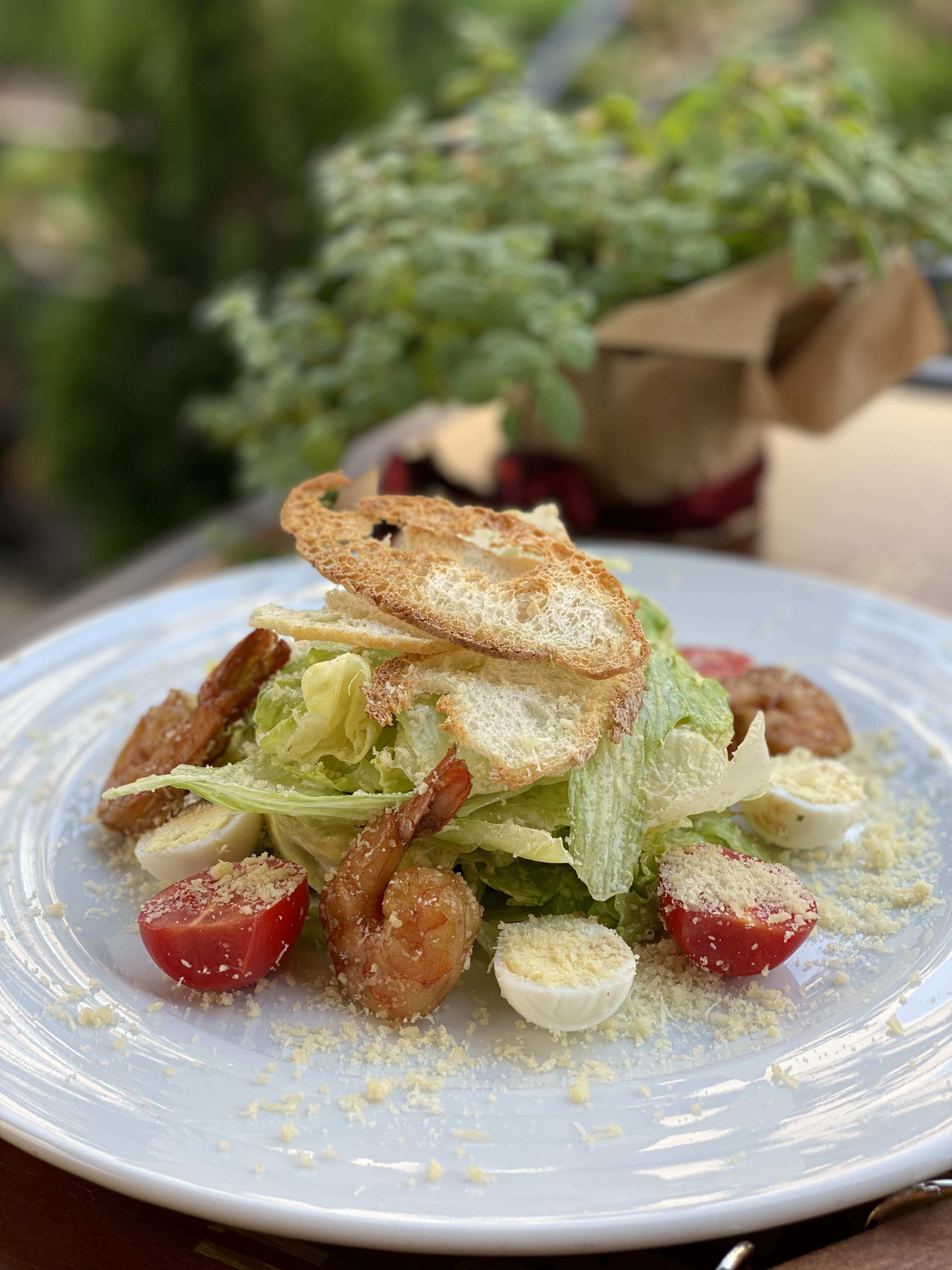 Vsi Svoi family cafe image 16