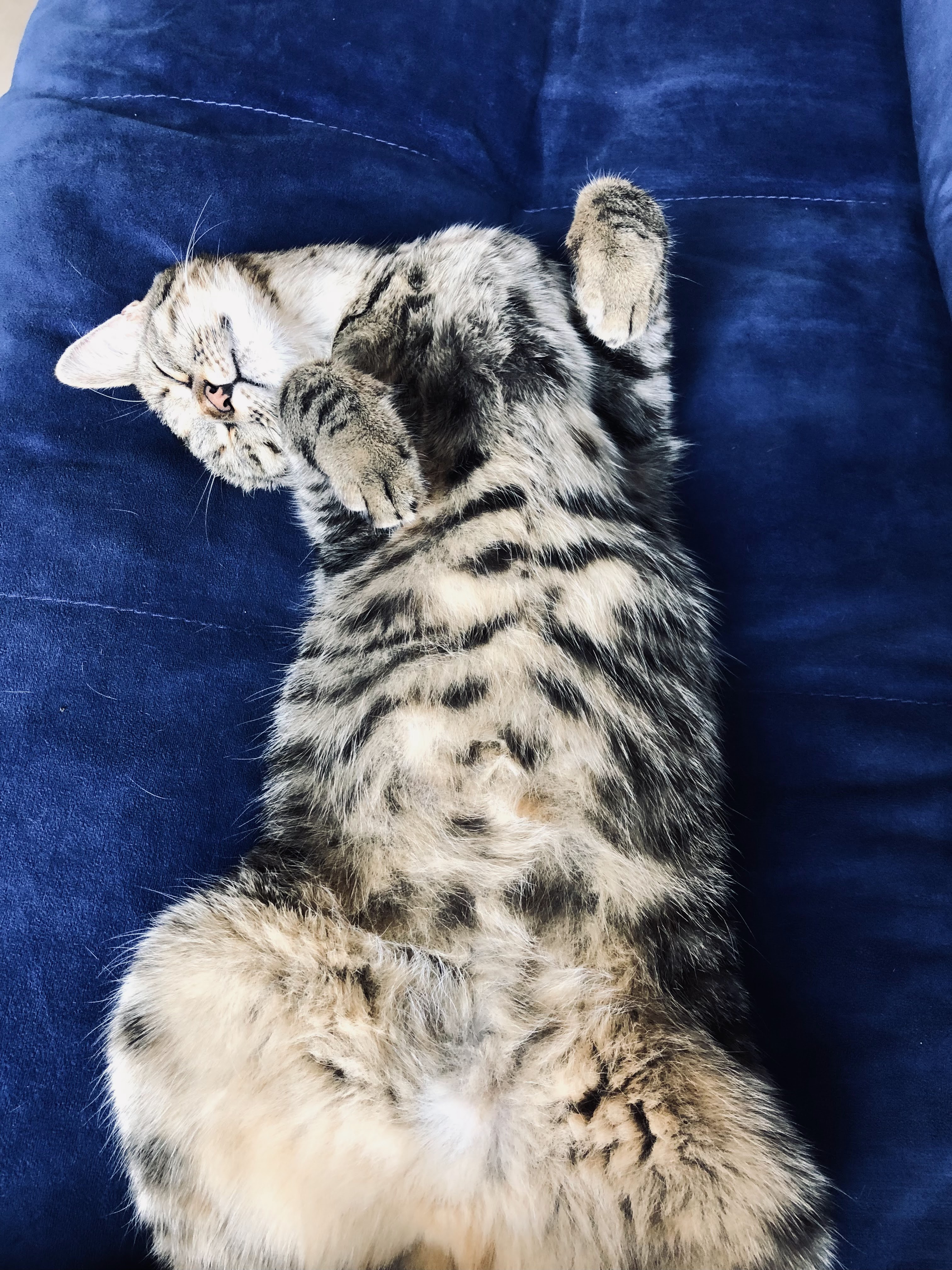 Pb-Lounge Bar image 10