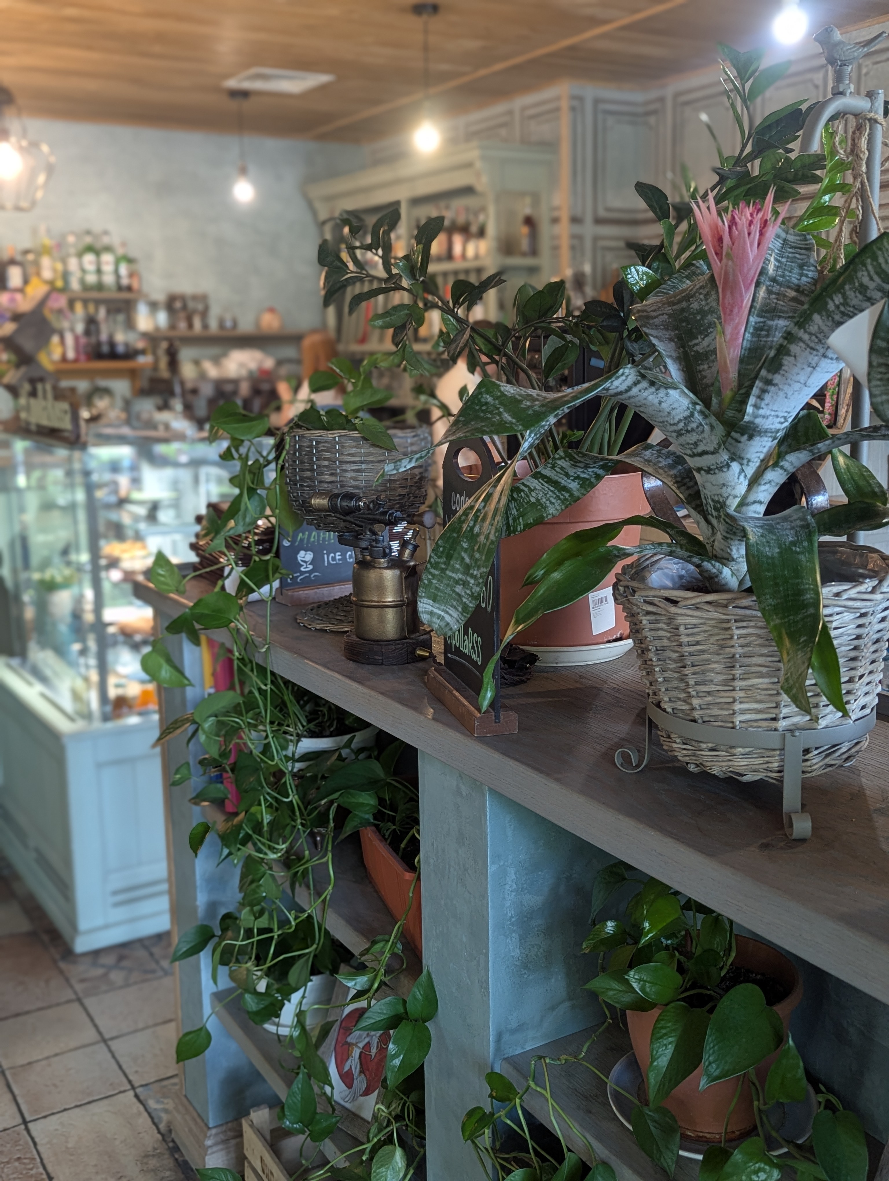 Cipolla Rossa restaurant image 11