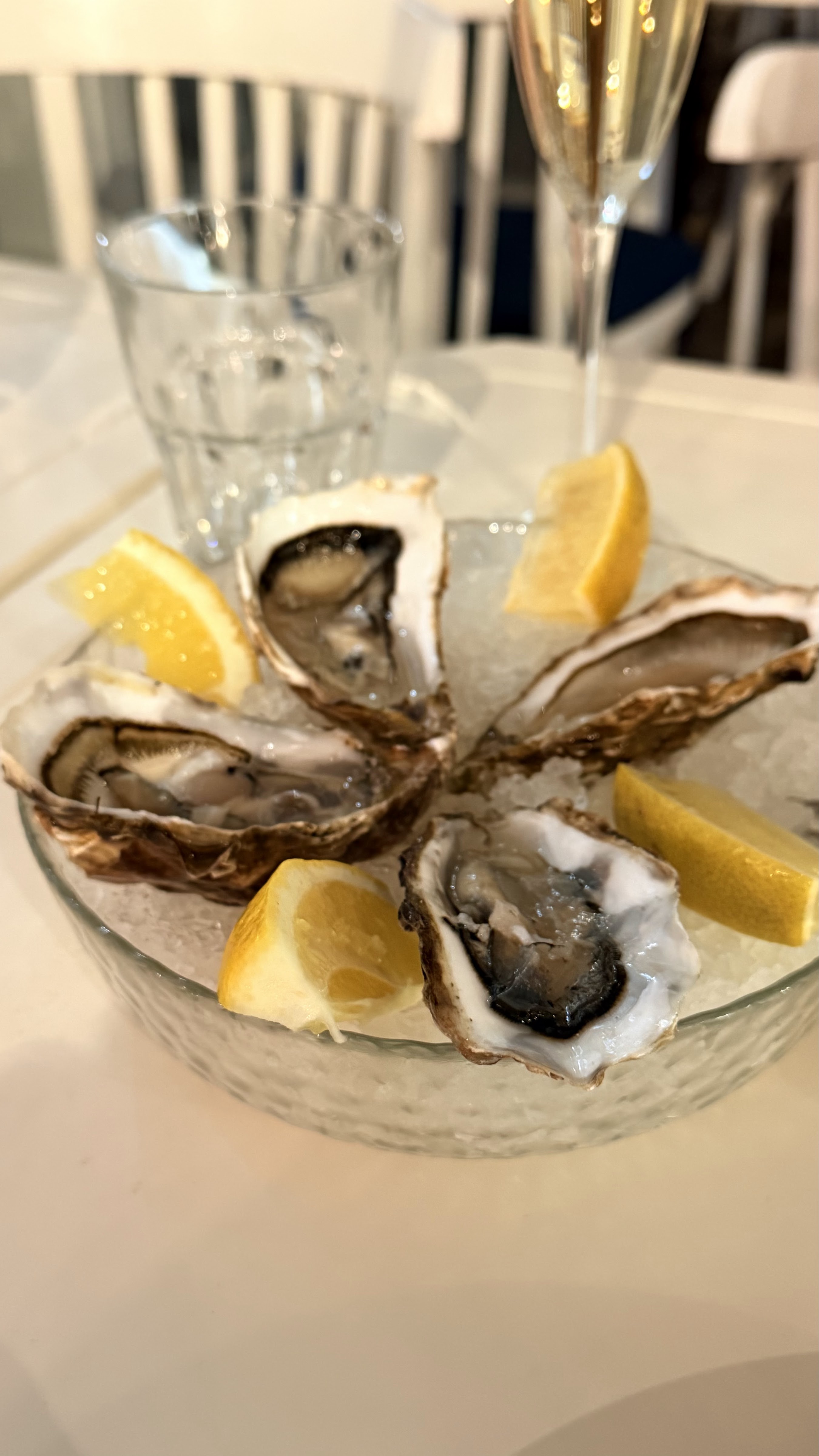 Чорноморка на Петропавлівській Борщагівці image 14