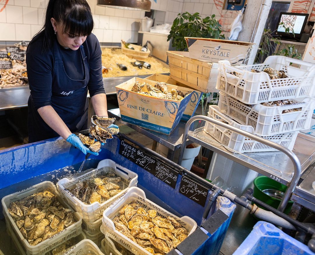 Чорноморка на Петропавлівській Борщагівці image 17