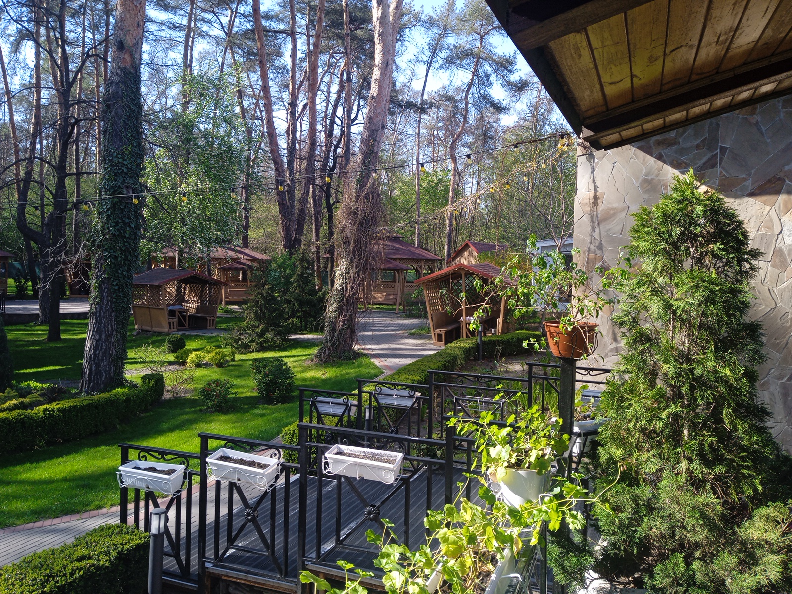 Restaurant PARK image 14