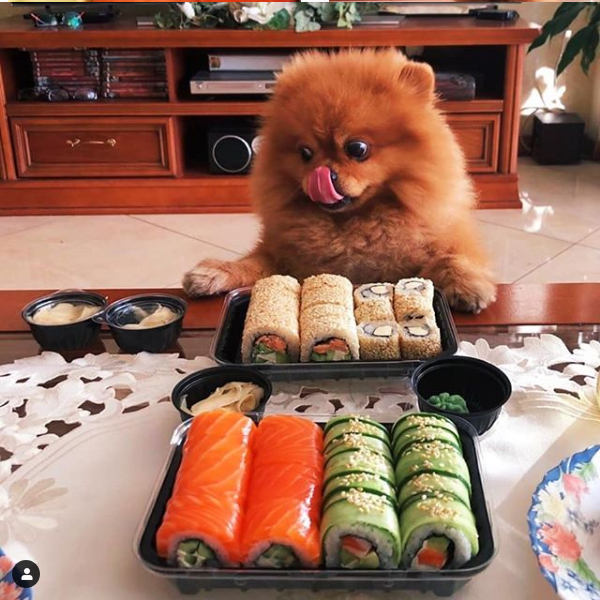 Dostavka Sushy Borshchahovka Kyev image 12