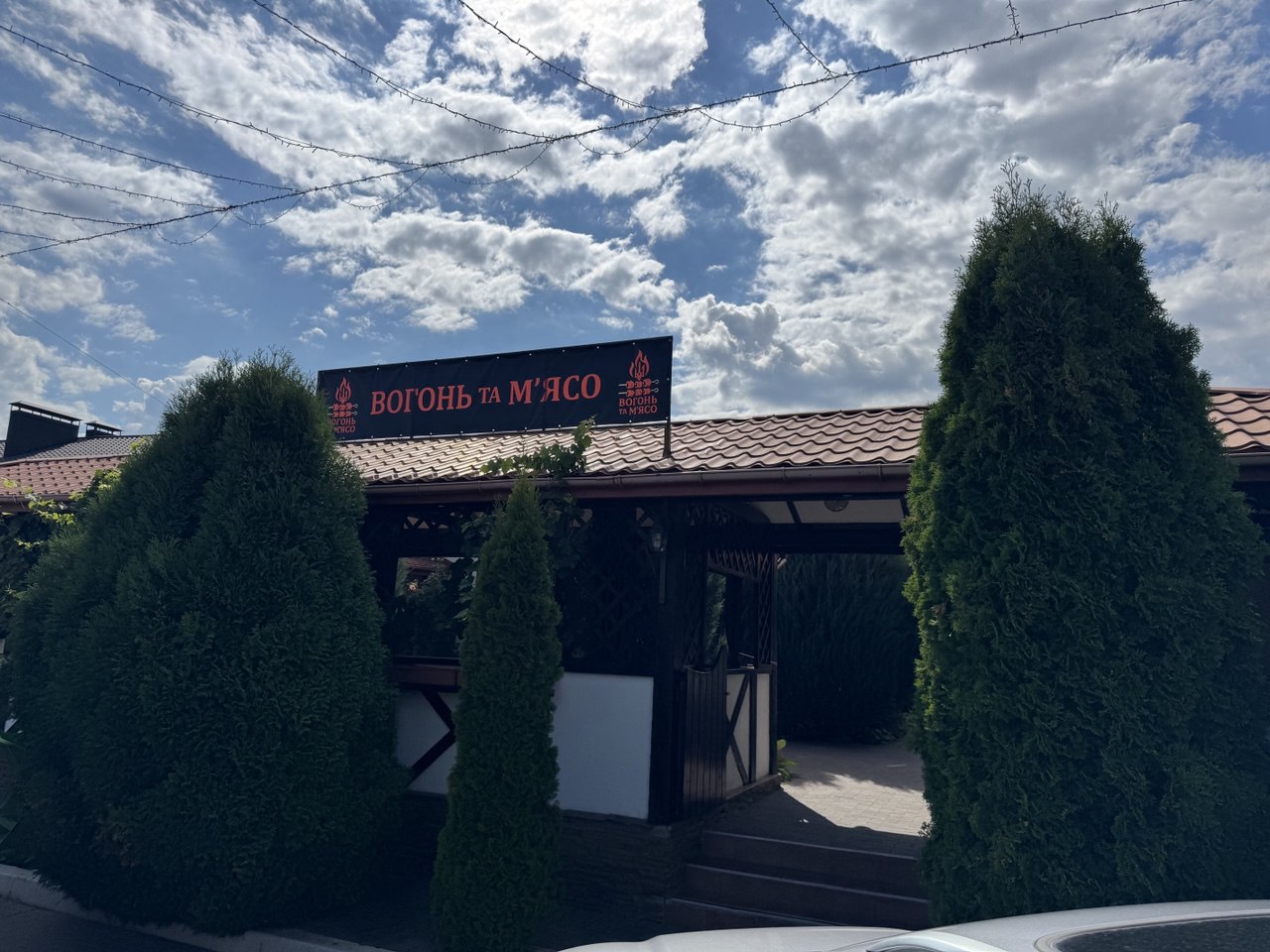 Вогонь та м'ясо image 2